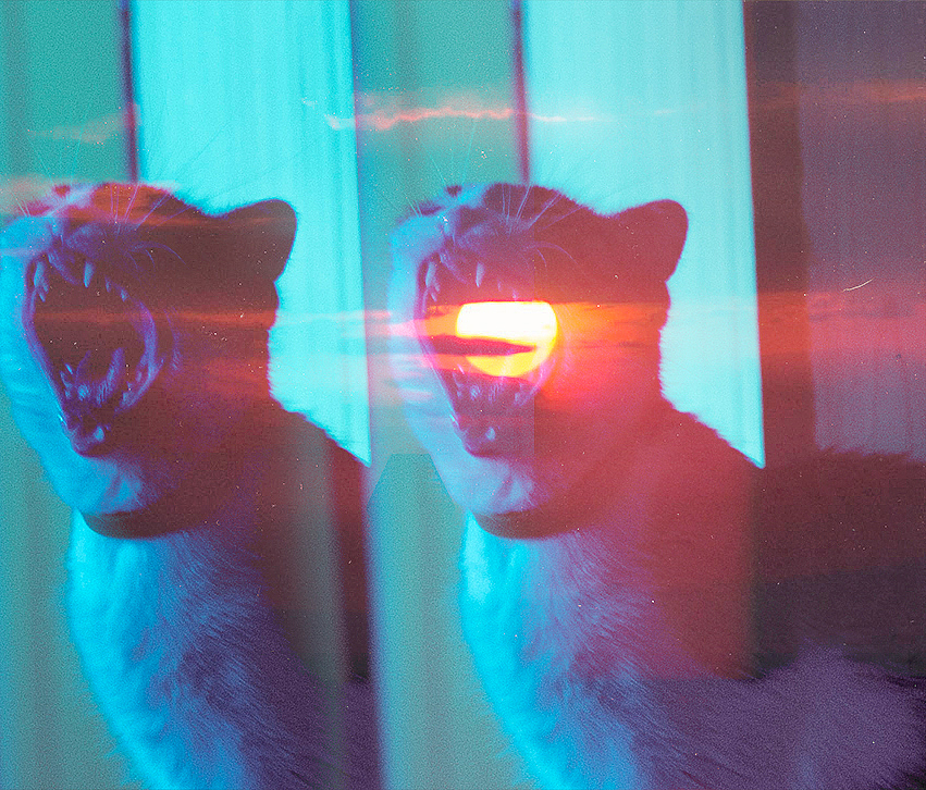 A cat yawning, double exposed in a blue room. Second exposure makes it appear that there is in fact an actual sun in the cats mouth.