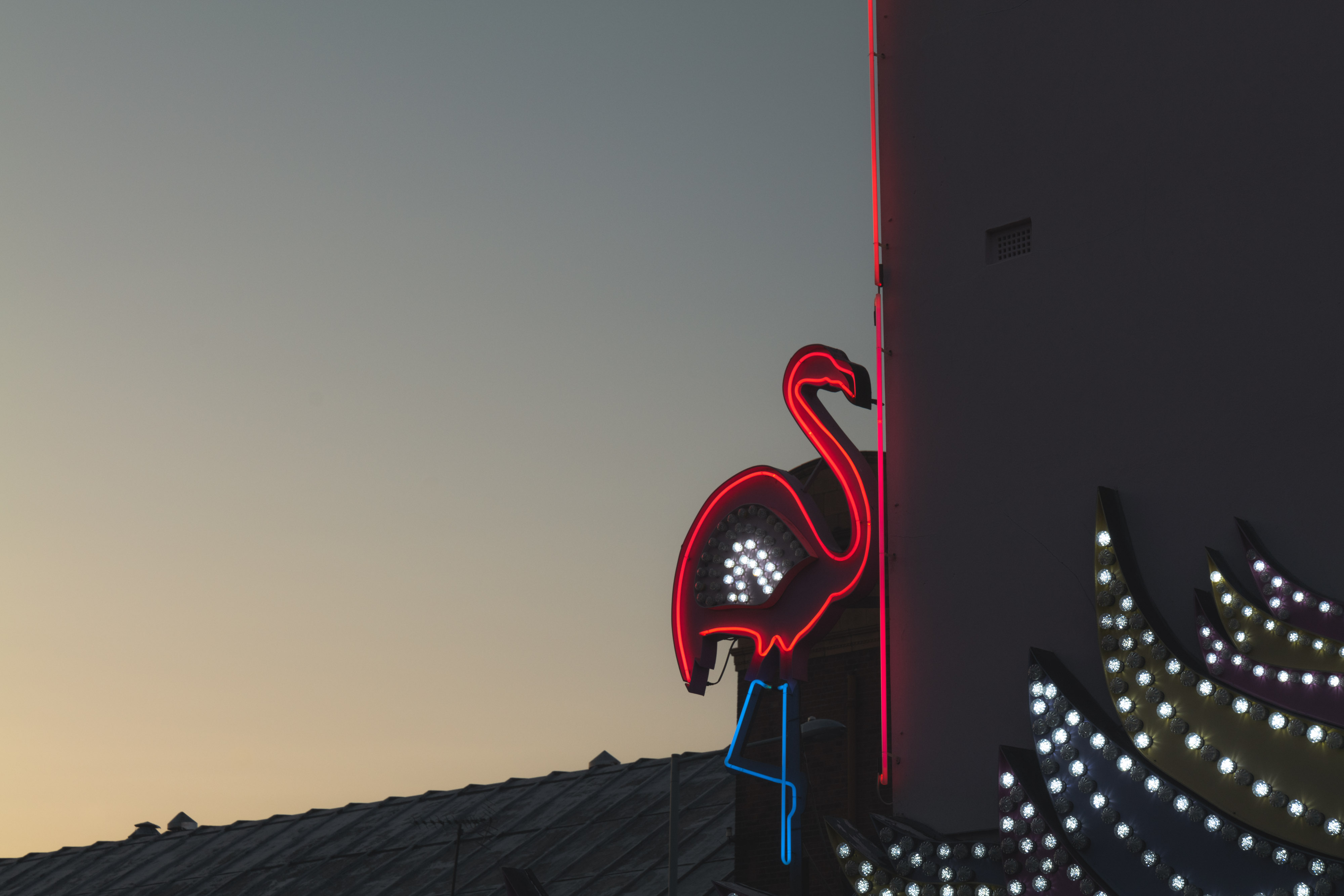 neon flamingo sign