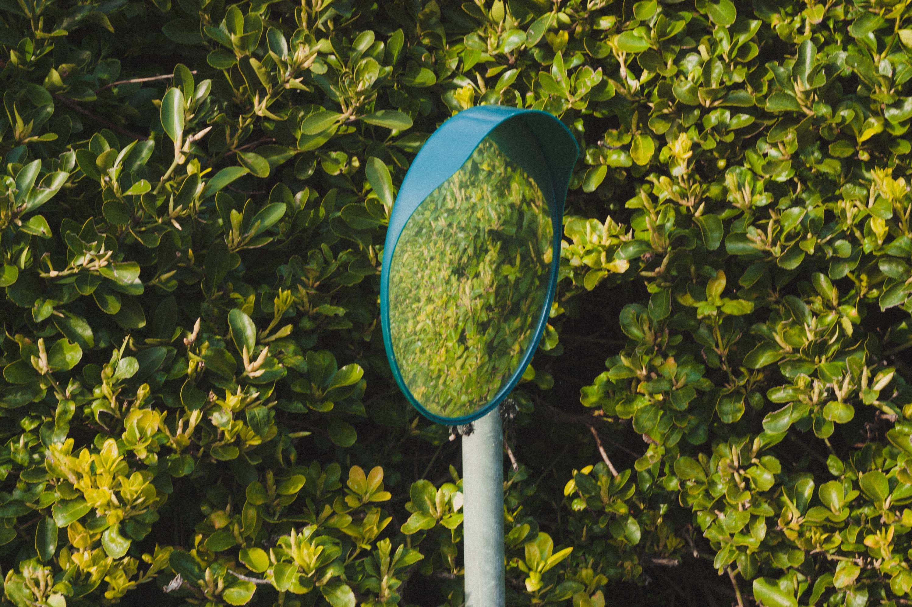 Roadside mirror shot with Epson R-D1