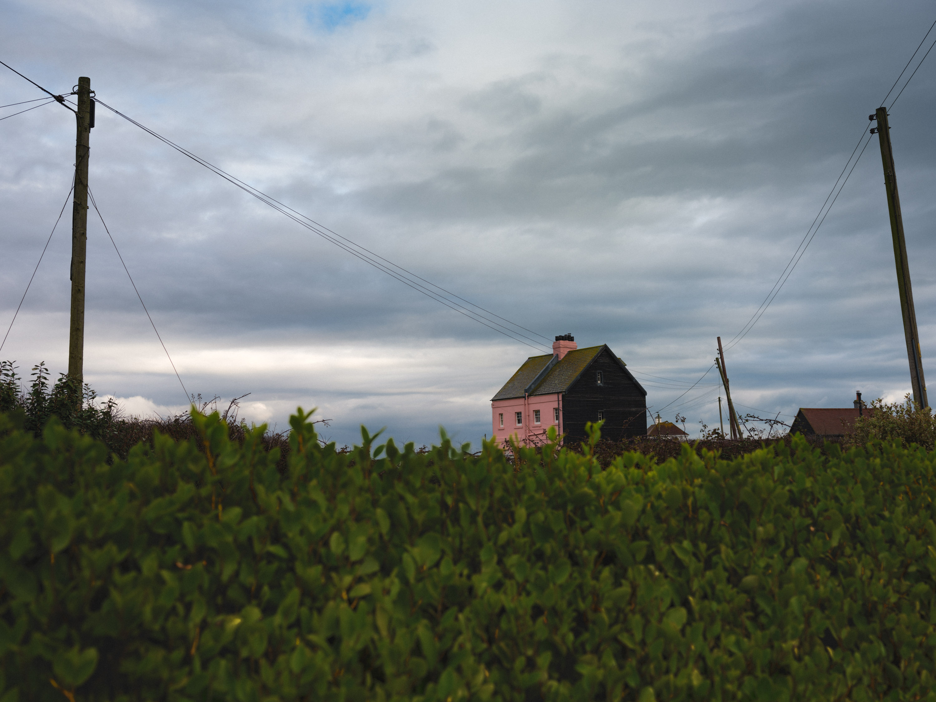 House with bush and power lines in the foreground. Shot with Fuji GFX100.