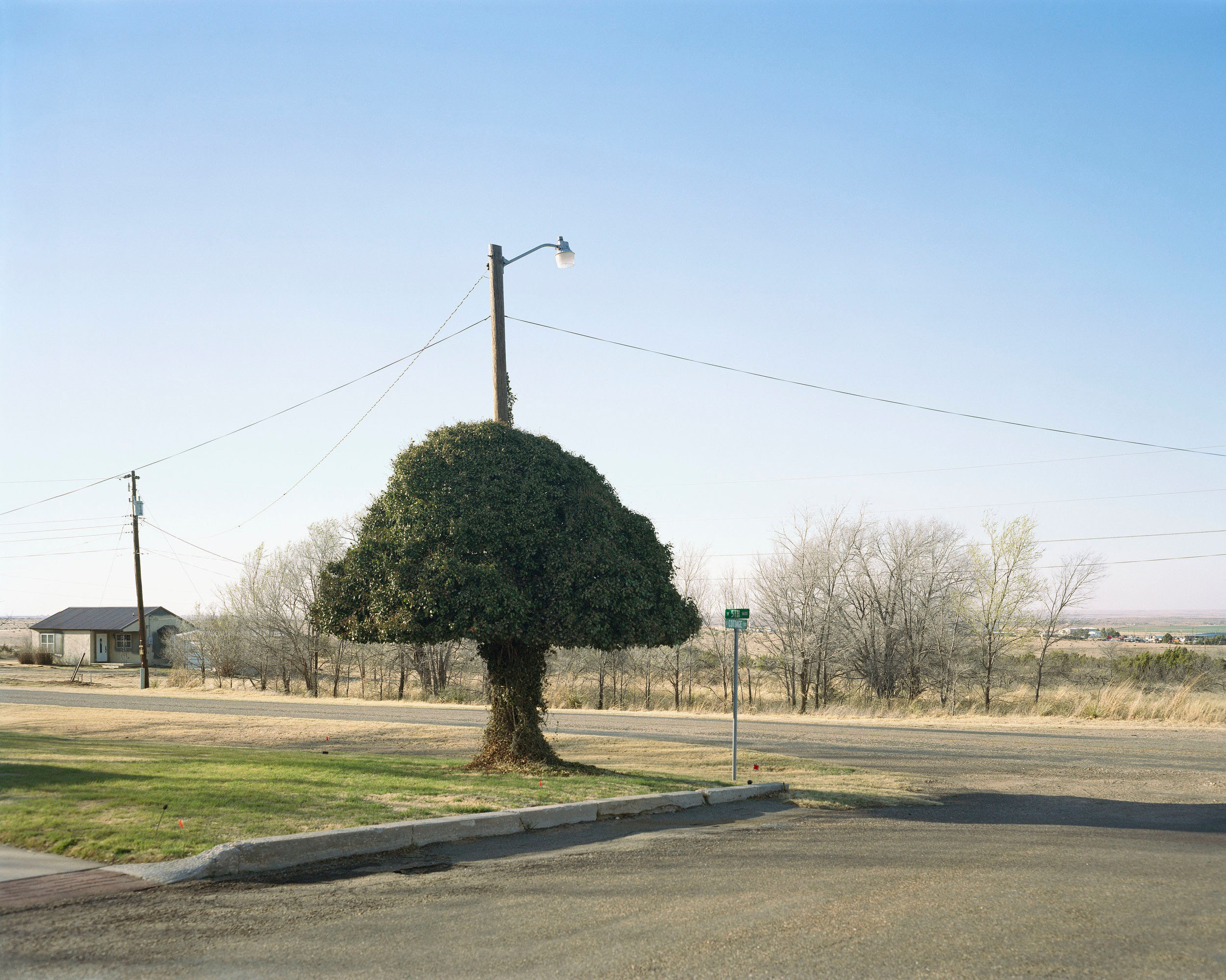 Film photographer Jason Lee