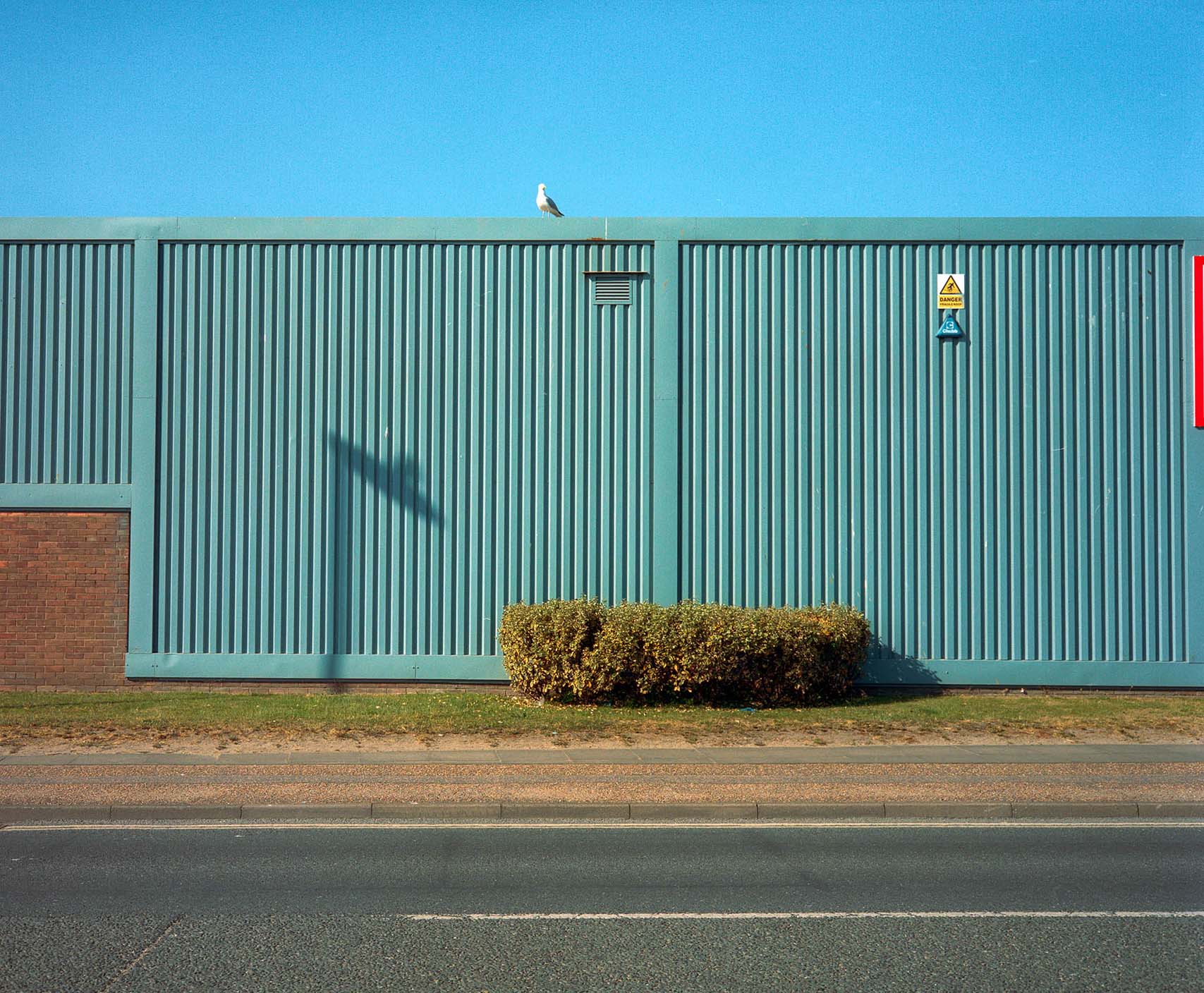 Green metal wall with a seagull sitting on top and blue skies above.