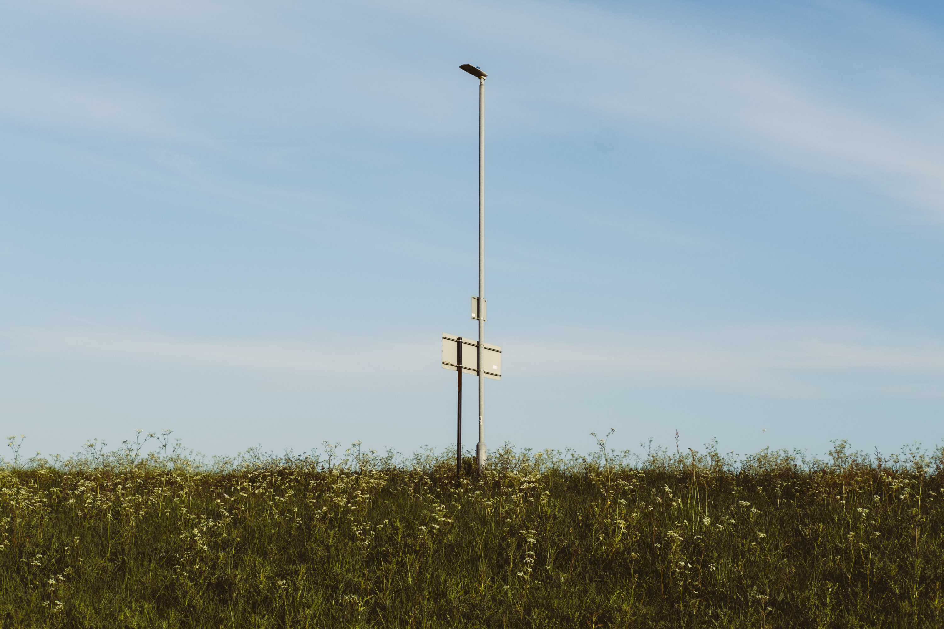 A lamppost coming out of a green hedge, against a soft blue sky. Shot on the X-Pro 3 by Ian Howorth.