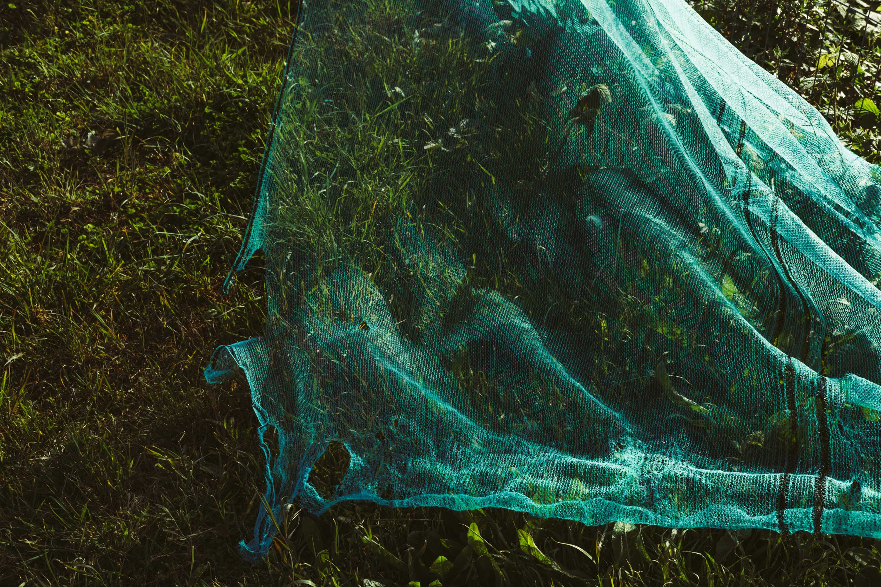 A green net illuminated by a strong direct sun creating an interesting texture. Shot on the X-Pro 3 by Ian Howorth.