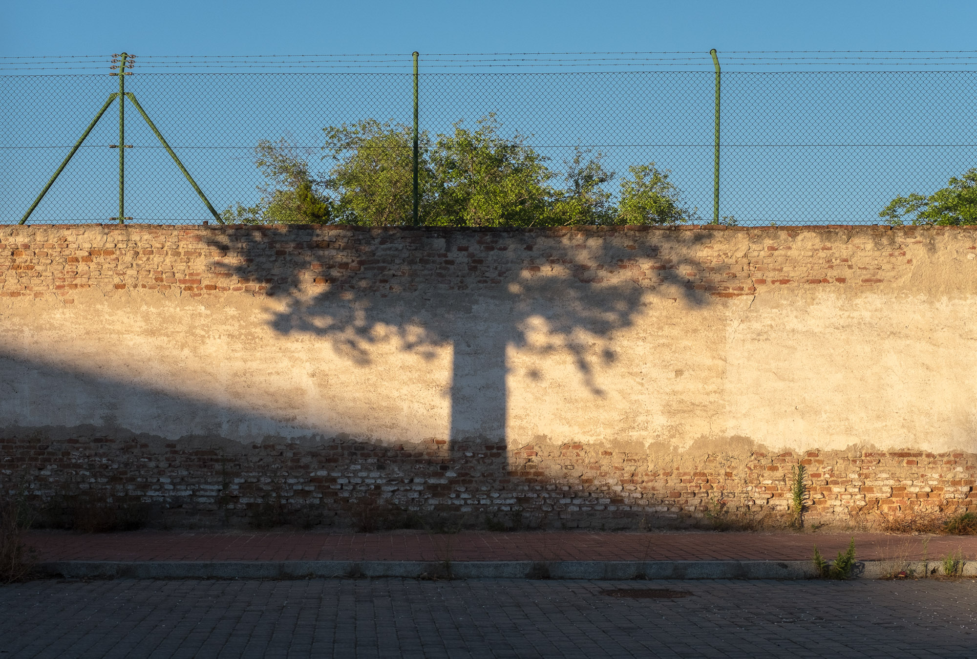 Der Schatten eines Baumes scheint sich perfekt mit dem eines echten Baumes hinter einer Mauer und einem Zaun zu verbinden.