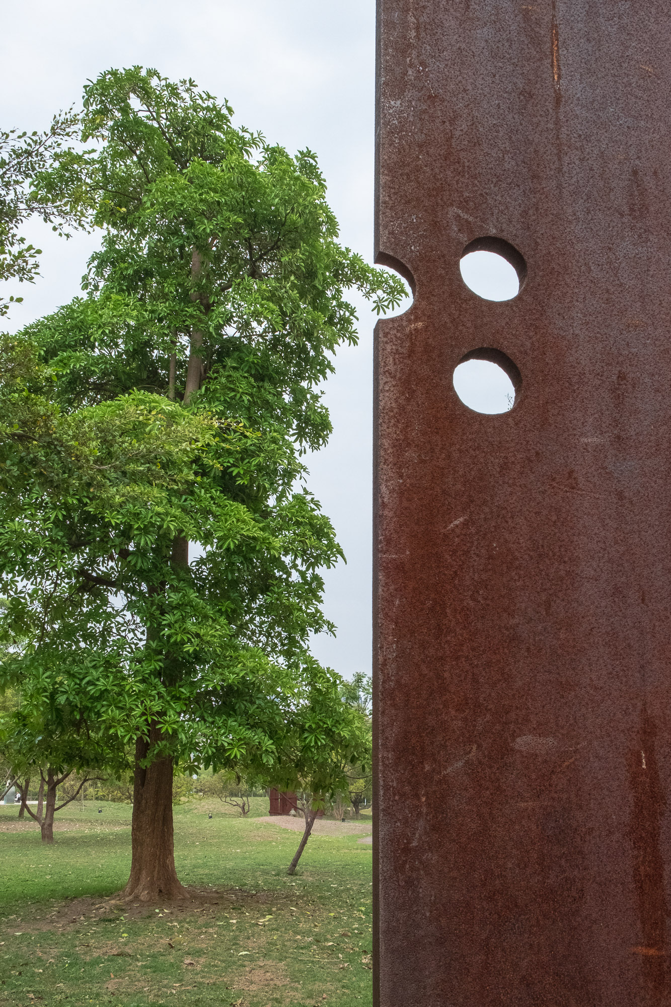 Verrostete Metallwand mit drei ausgeschnittenen Kreisen neben einem Baum im Hintergrund