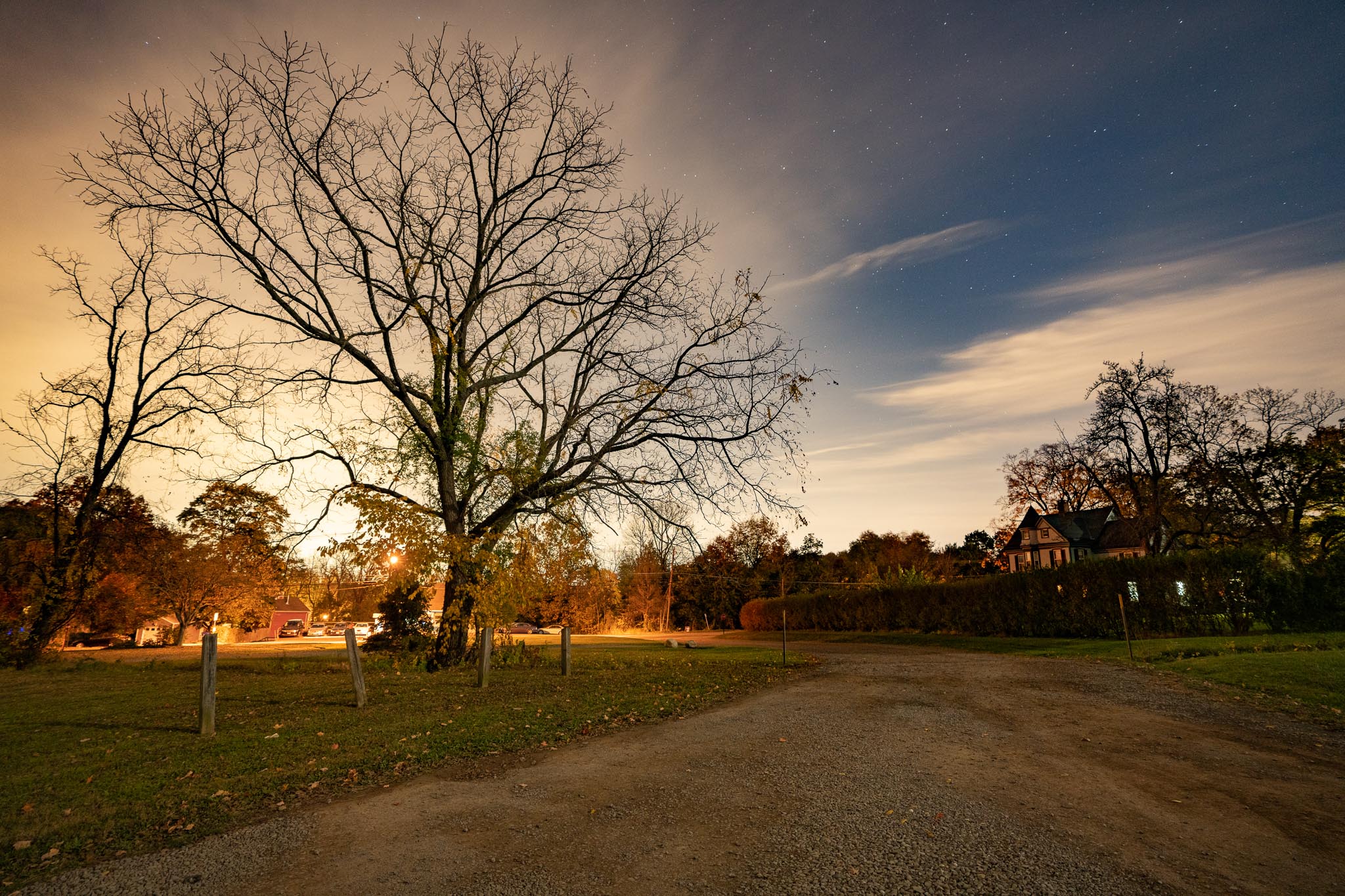 This is a long exposure of a big tree in winter, showing a night/day kind of landscape. It was shot with a Sony A7R IV.