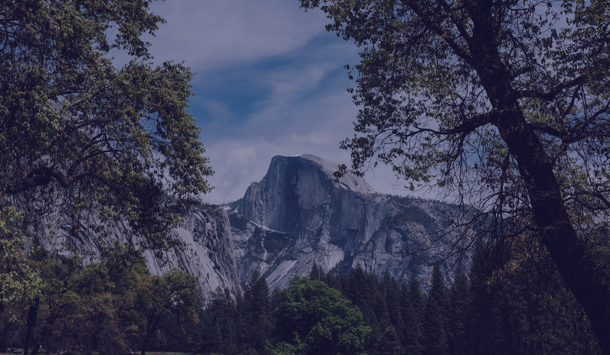Mountain and trees in the day