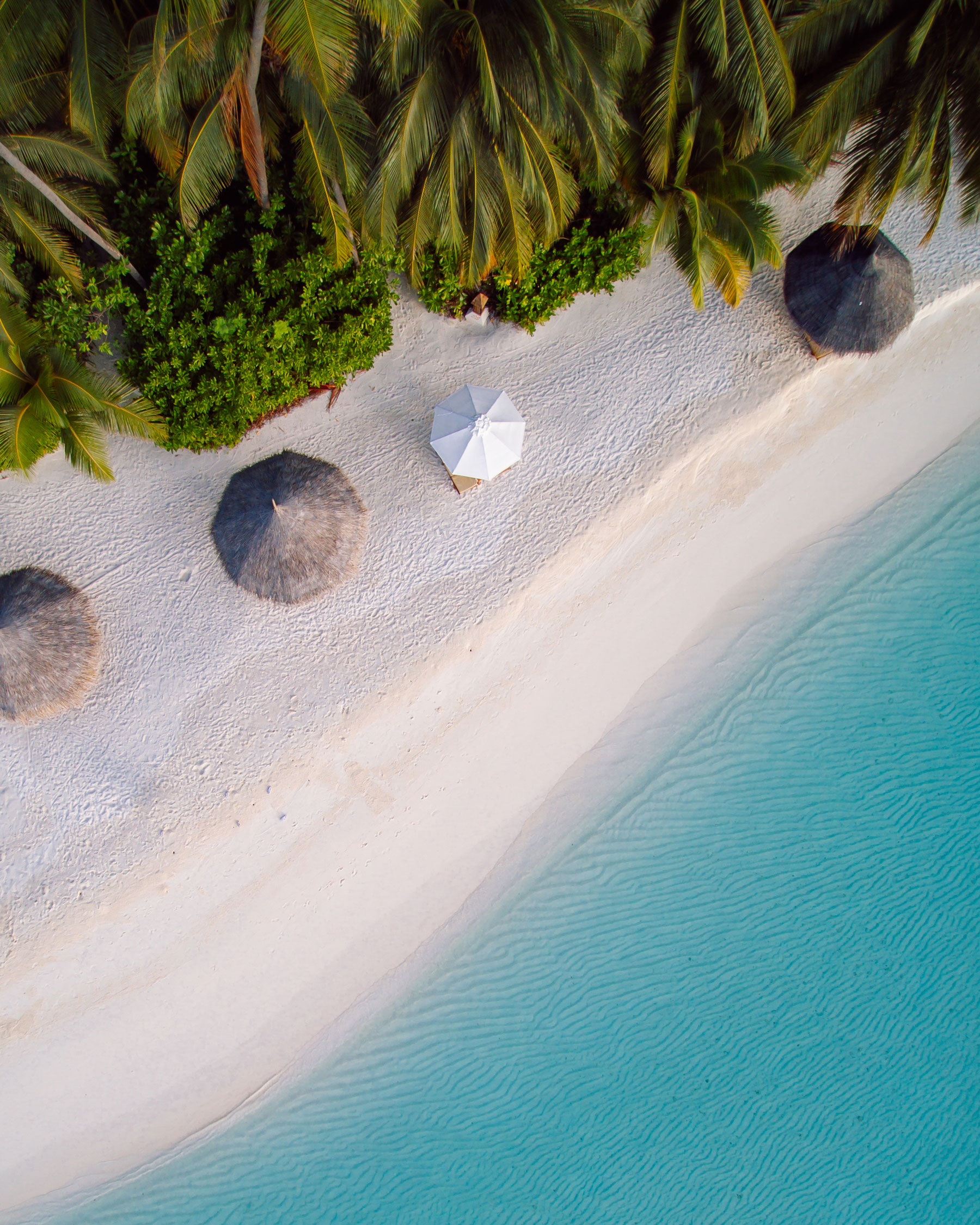 Aerial drone shot of a picturesque beach in the Maldives