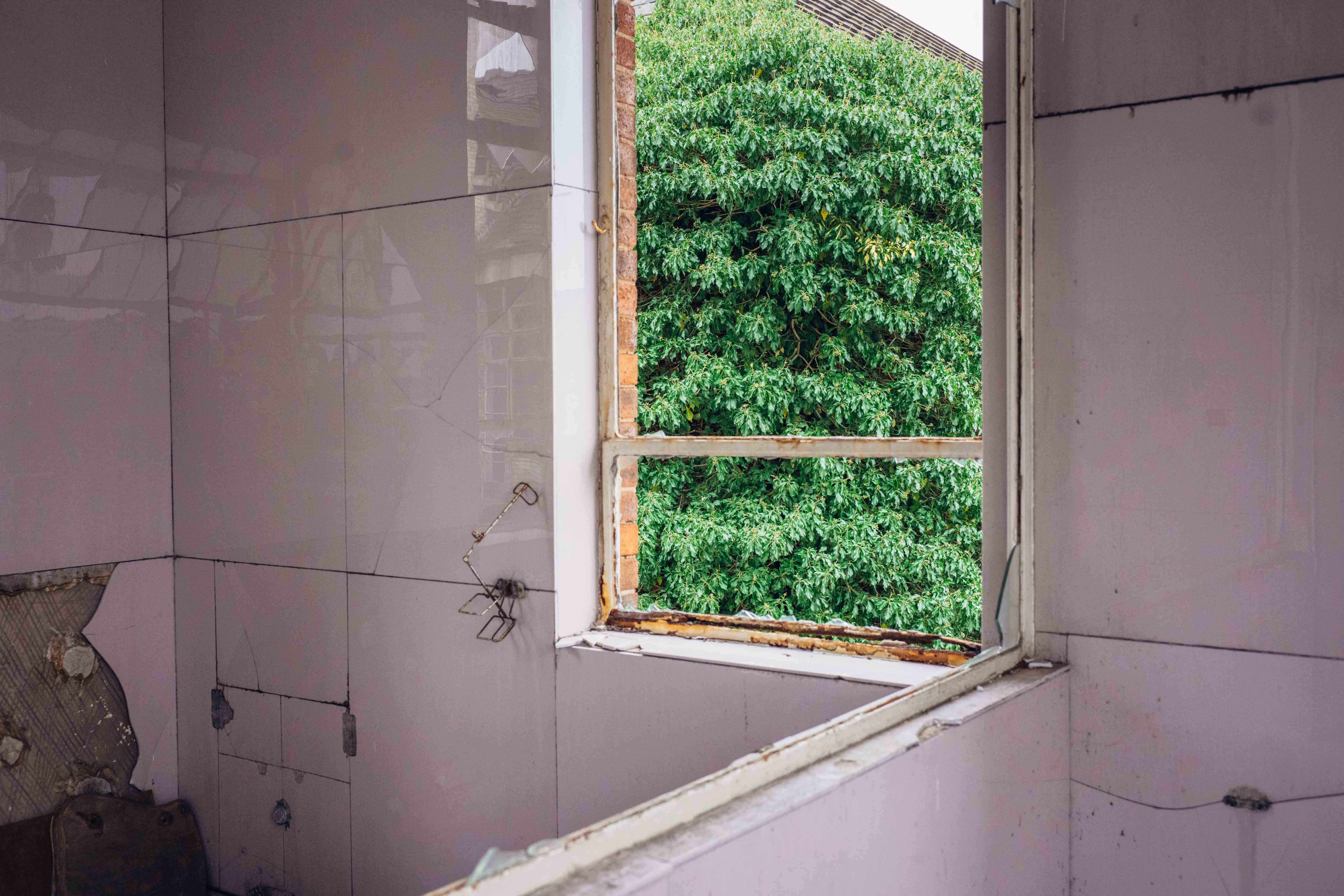 Open window in an abandoned building, looking out to leafy tree, shot with Sony A7 III