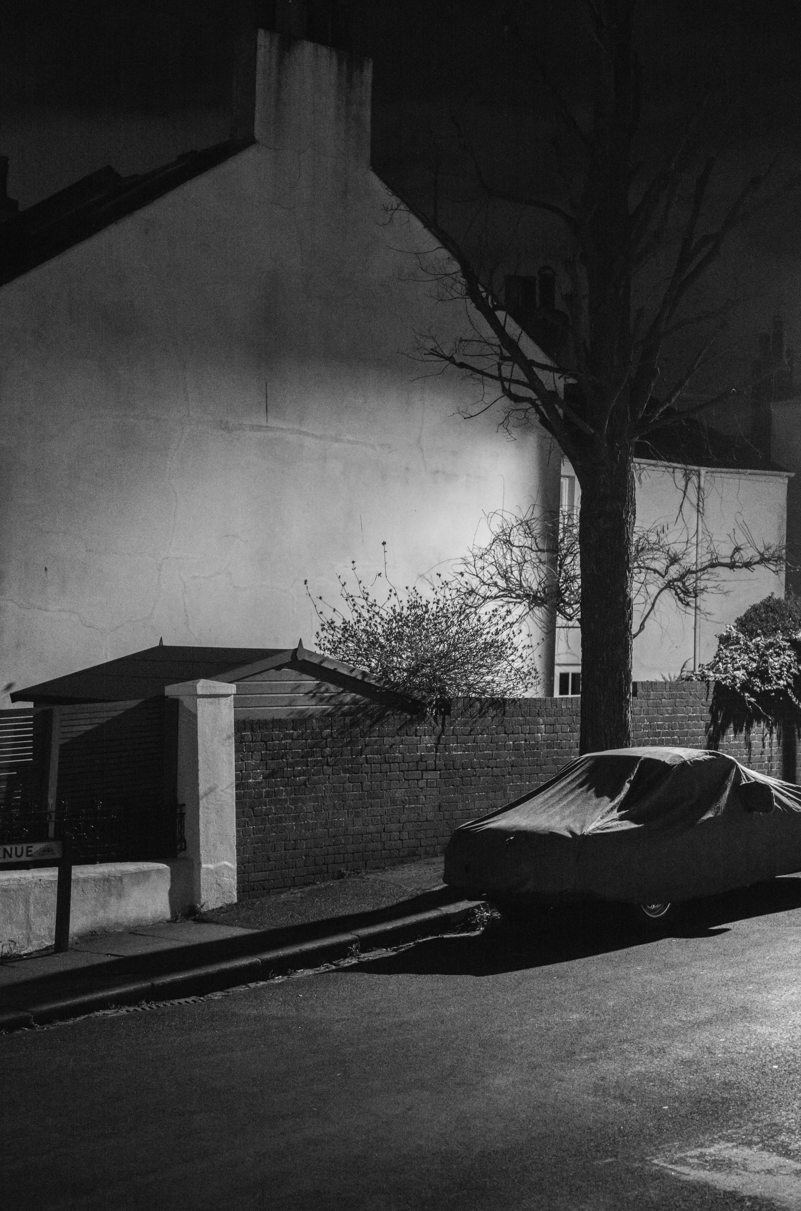 Une photo en noir et blanc d'une maison, d'une voiture et d'un arbre prise de nuit avec un Leica M10 Monochrom et un ISO plus élevé.