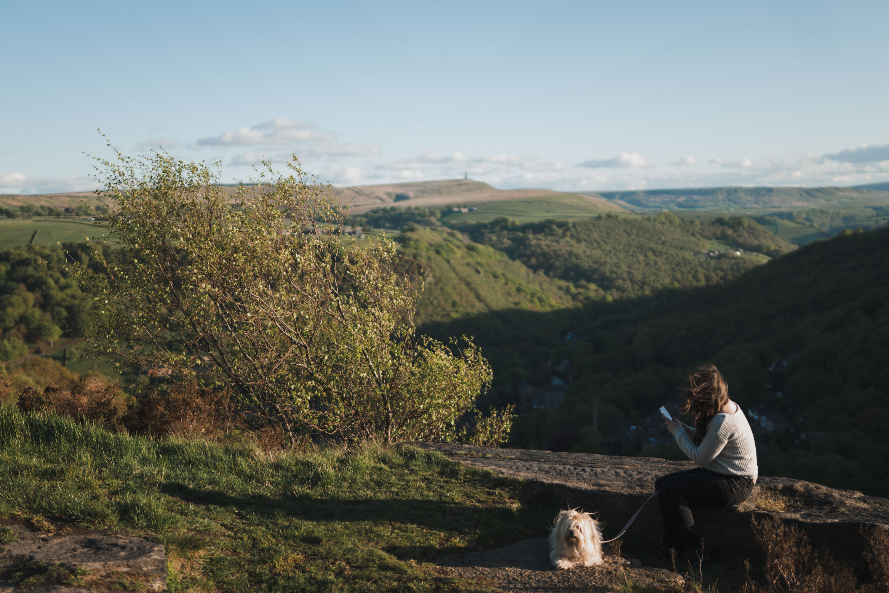 Person sitting on bench on phone with fluffy dog on leash, by Ian Howorth with Leica SL2 and Sigma 35mm f/1.2 DG DN ART