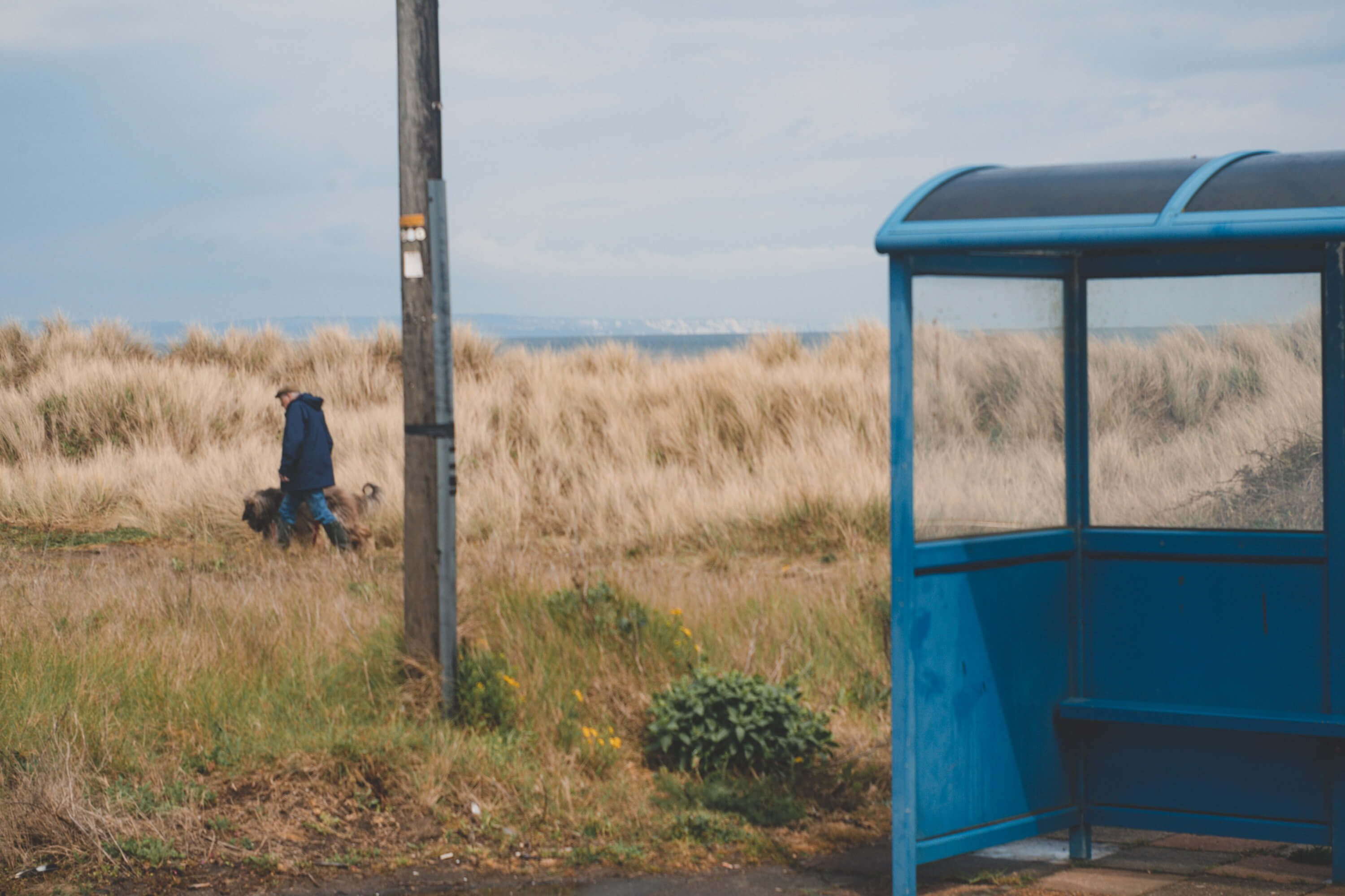 Blue Bus Stop & Man Walking Dog in the background, shot with an old lens.