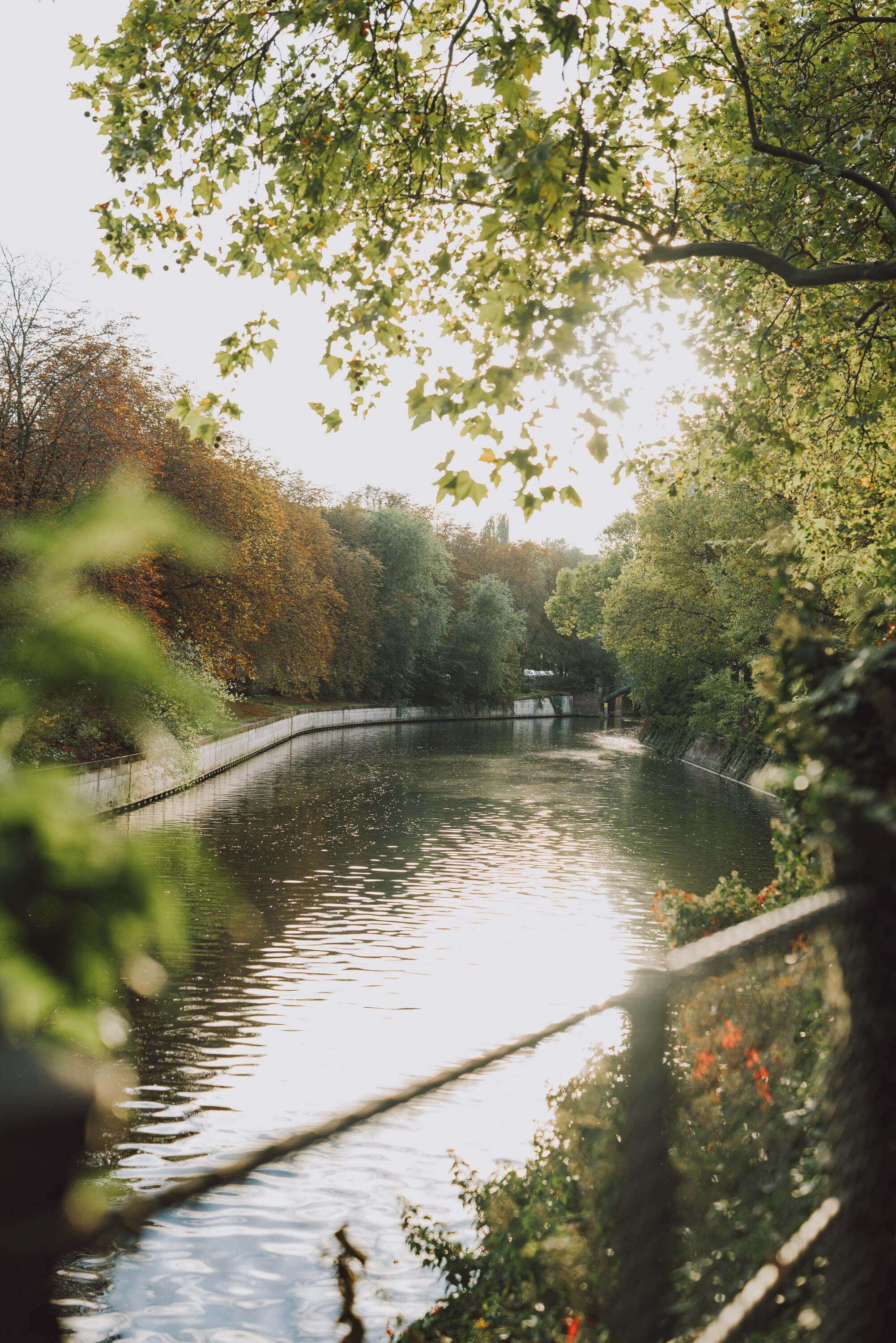 Photo on a bridge of the river with green trees