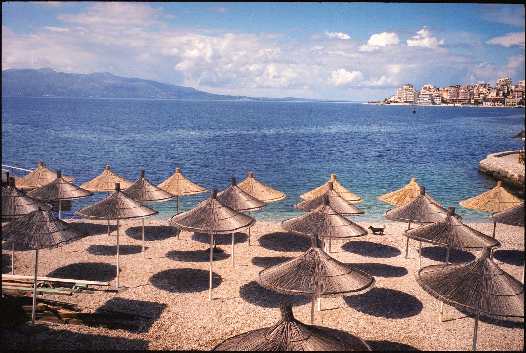 photograph of beach umbrellas with ocean in background