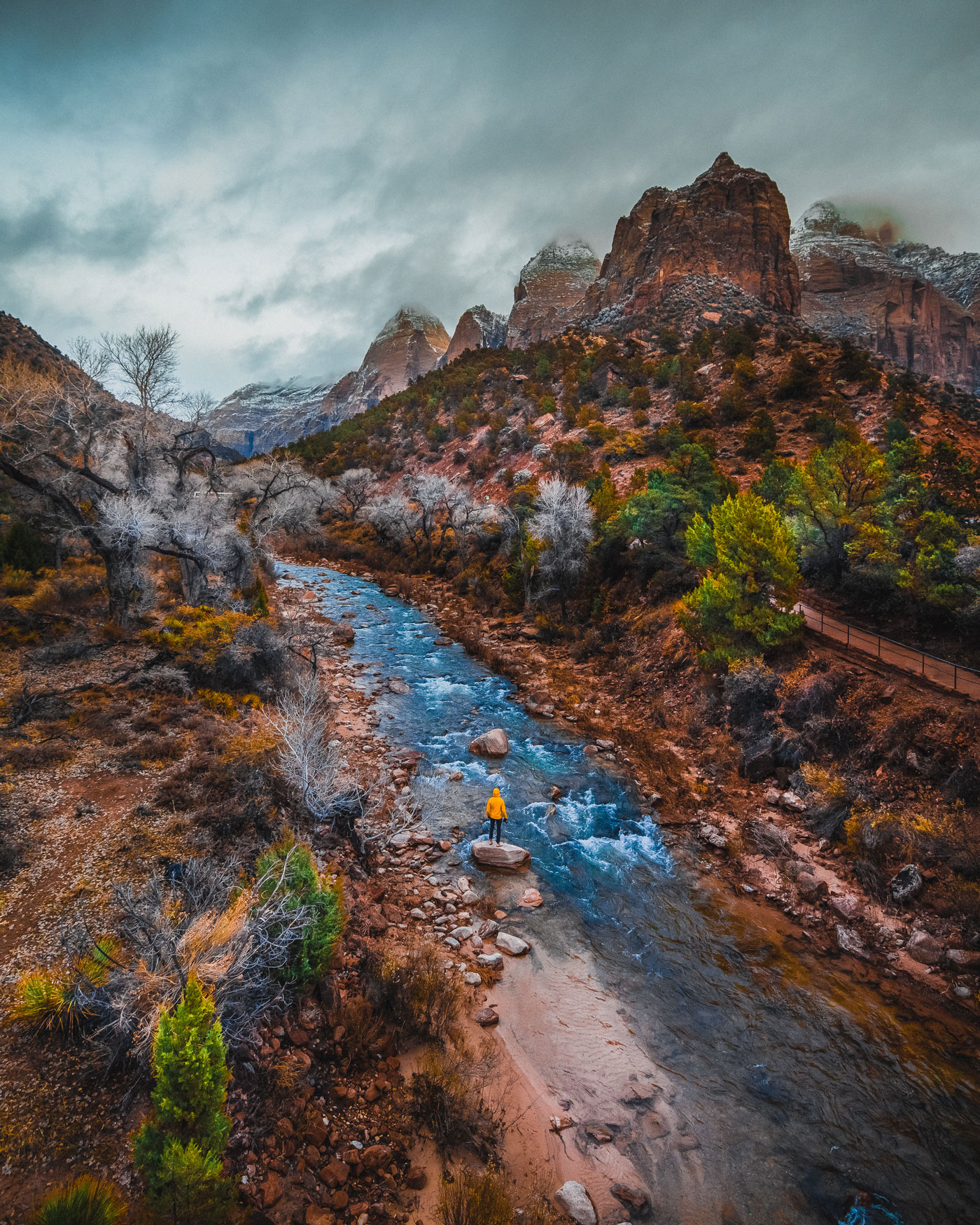 Stream in Zion National Park