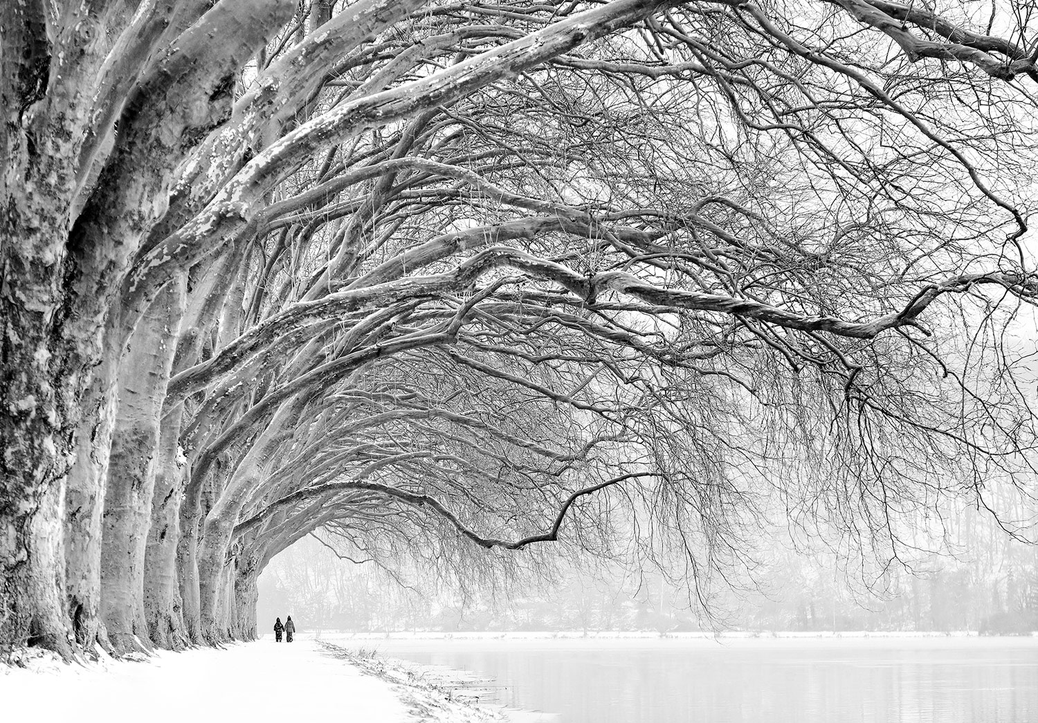 Schwarz-Weiß-Aufnahme verschneiter Winterbäume – zwei Menschen laufen darunter