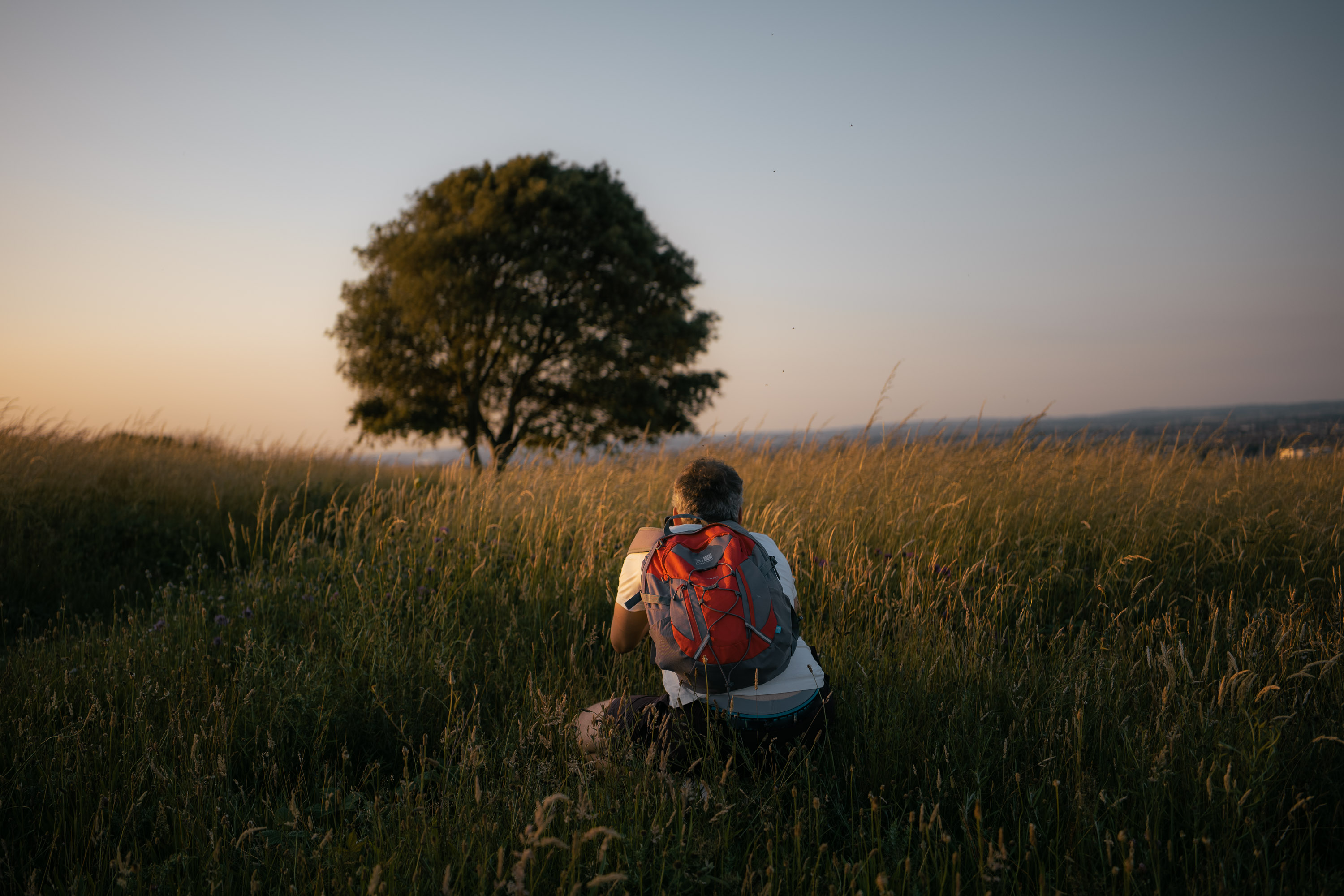 Person taking a picture of a big tree at sunset