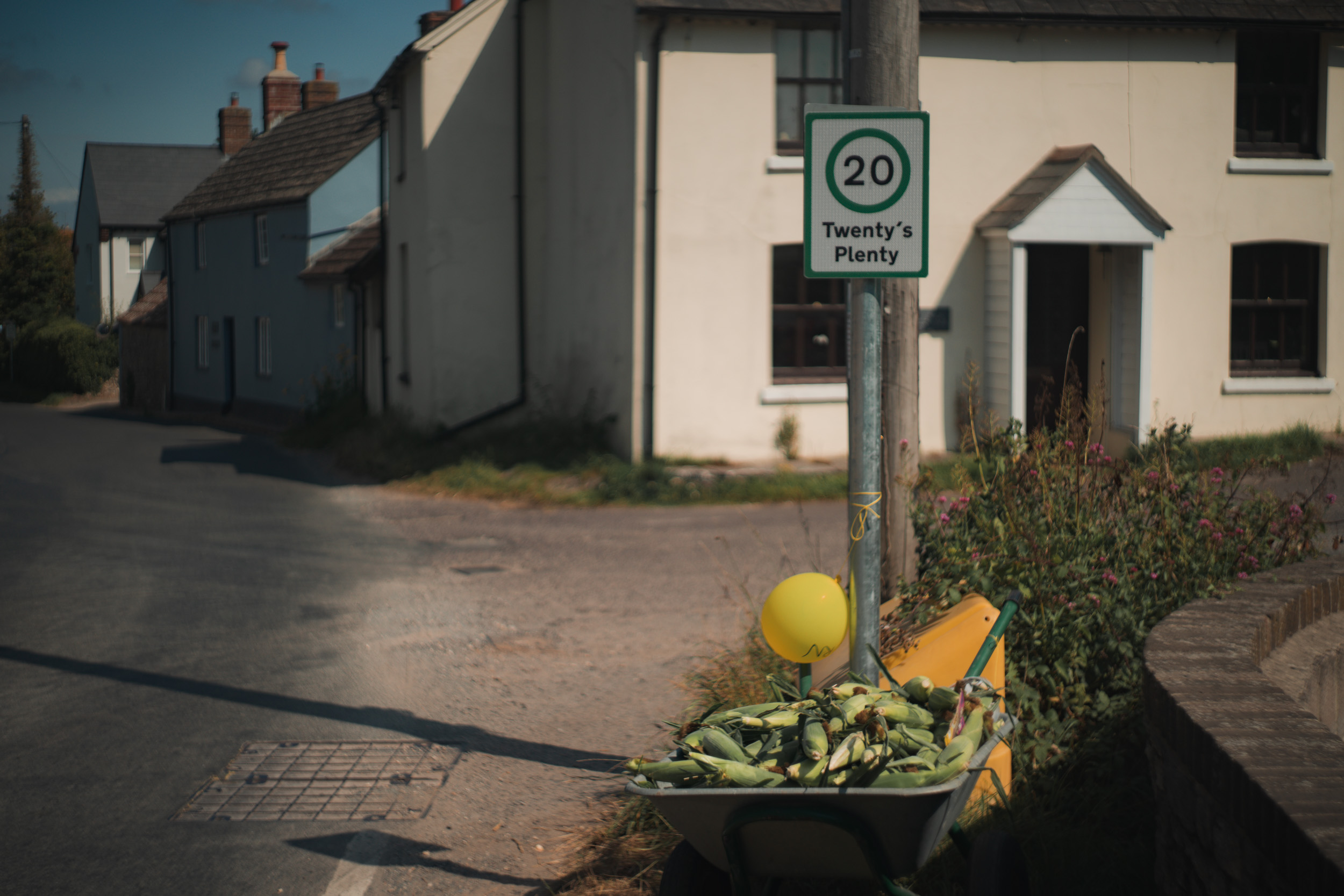 Twenty's Plenty road sign. Shot with the Helios 44-2 58mm f/2