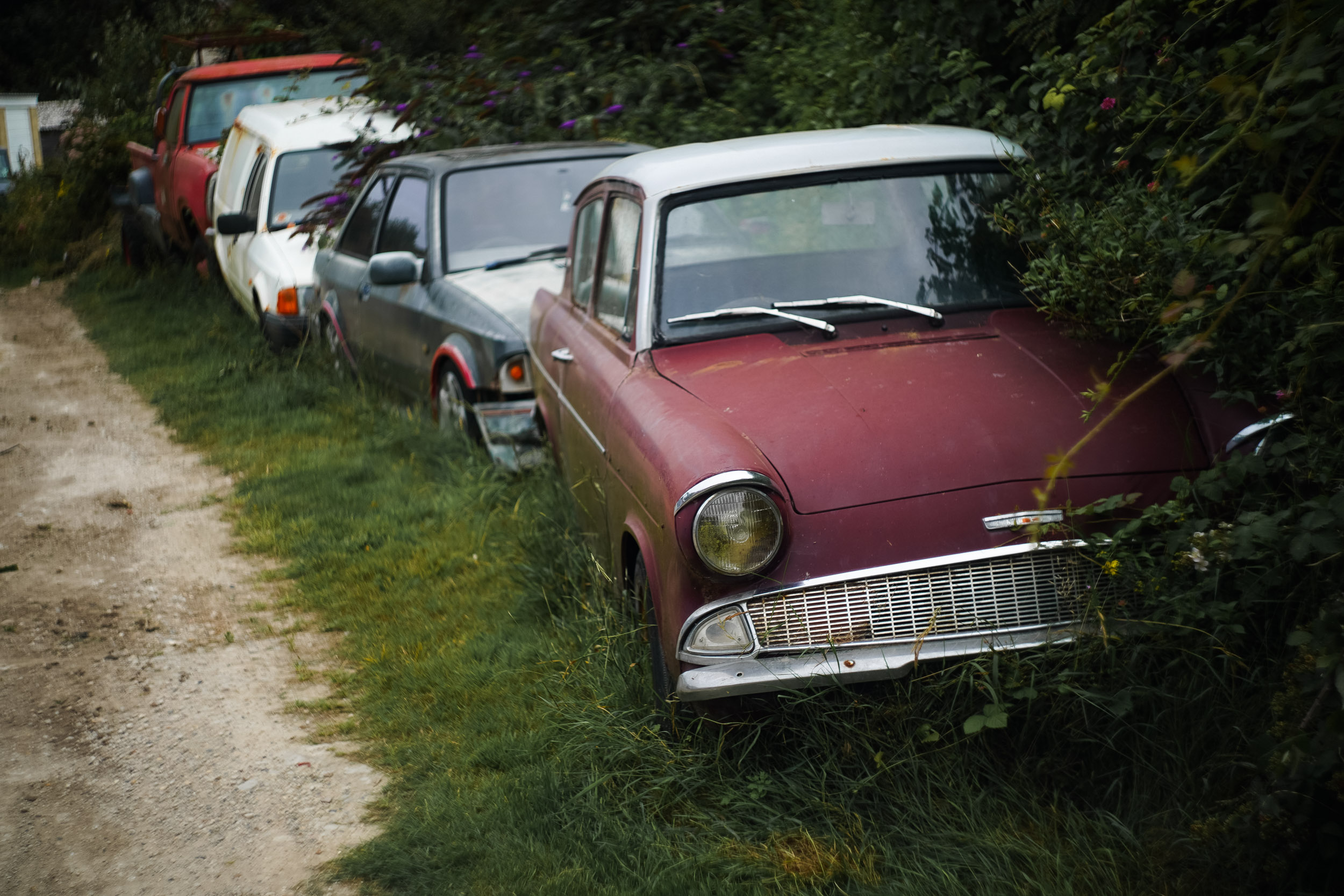 Vintage cars parked up by bushes. Shot with the Helios 44-2 58mm f/2
