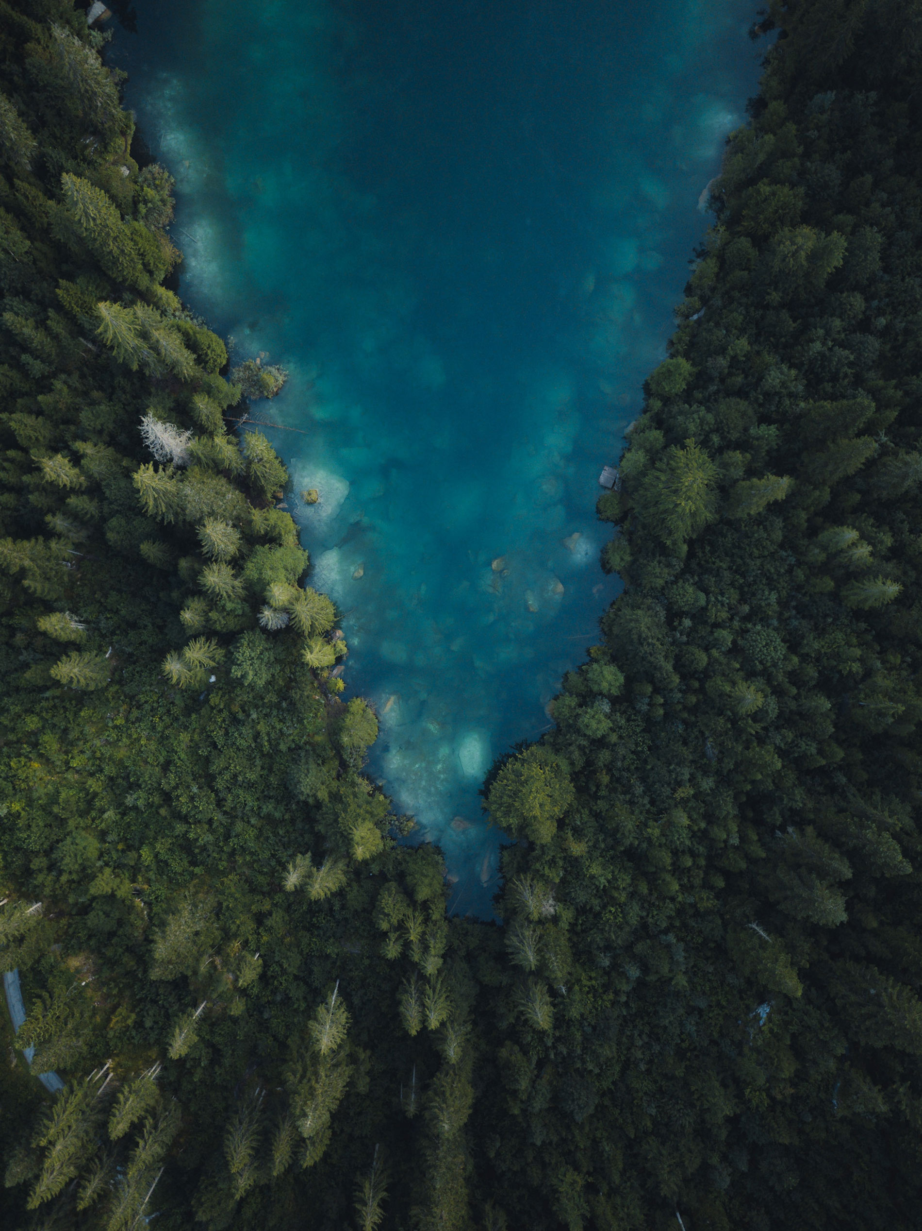 Lake forming a 'V' shape within the forest landscape