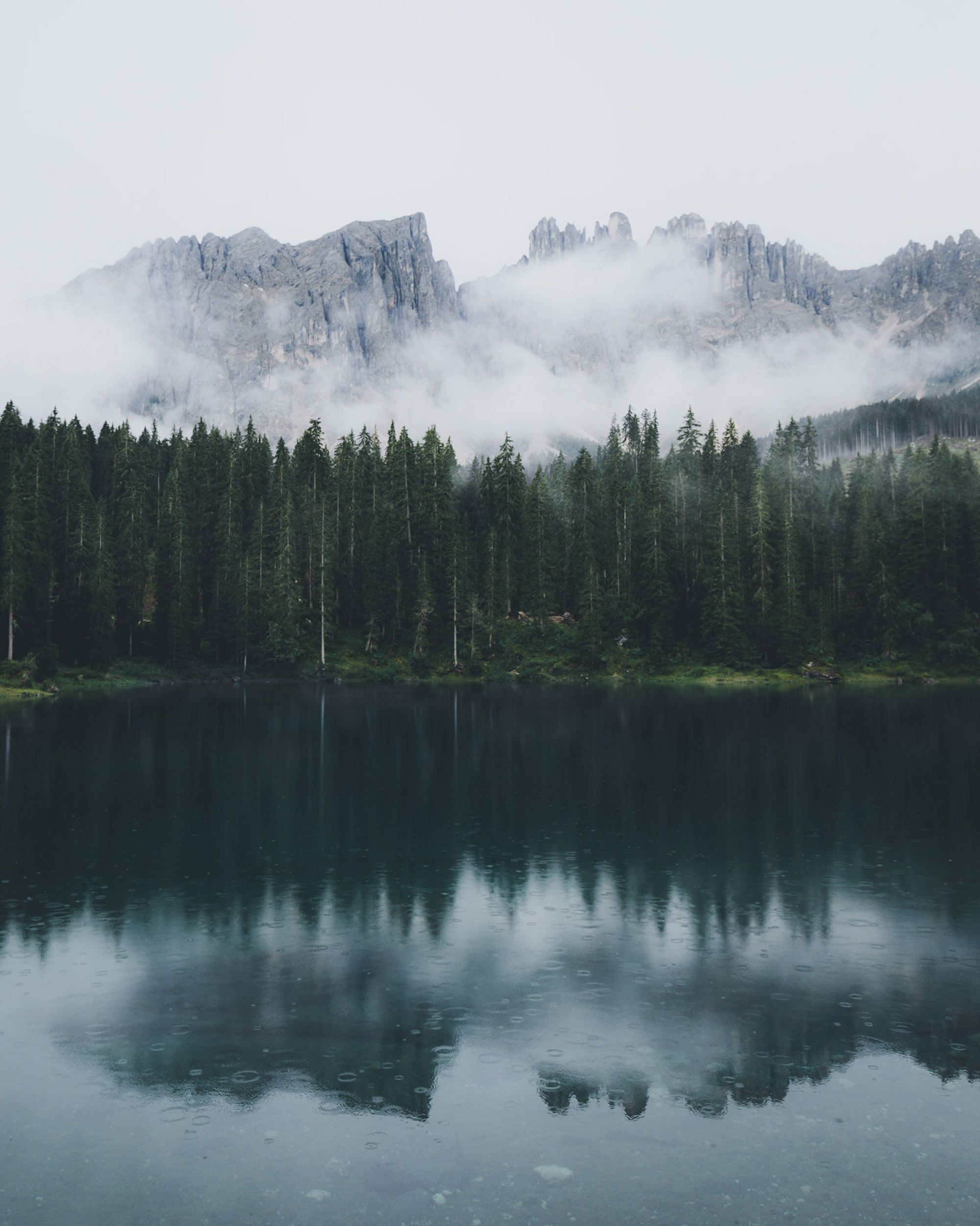 Moody and Foggy forest next to a lake with mountains in the background