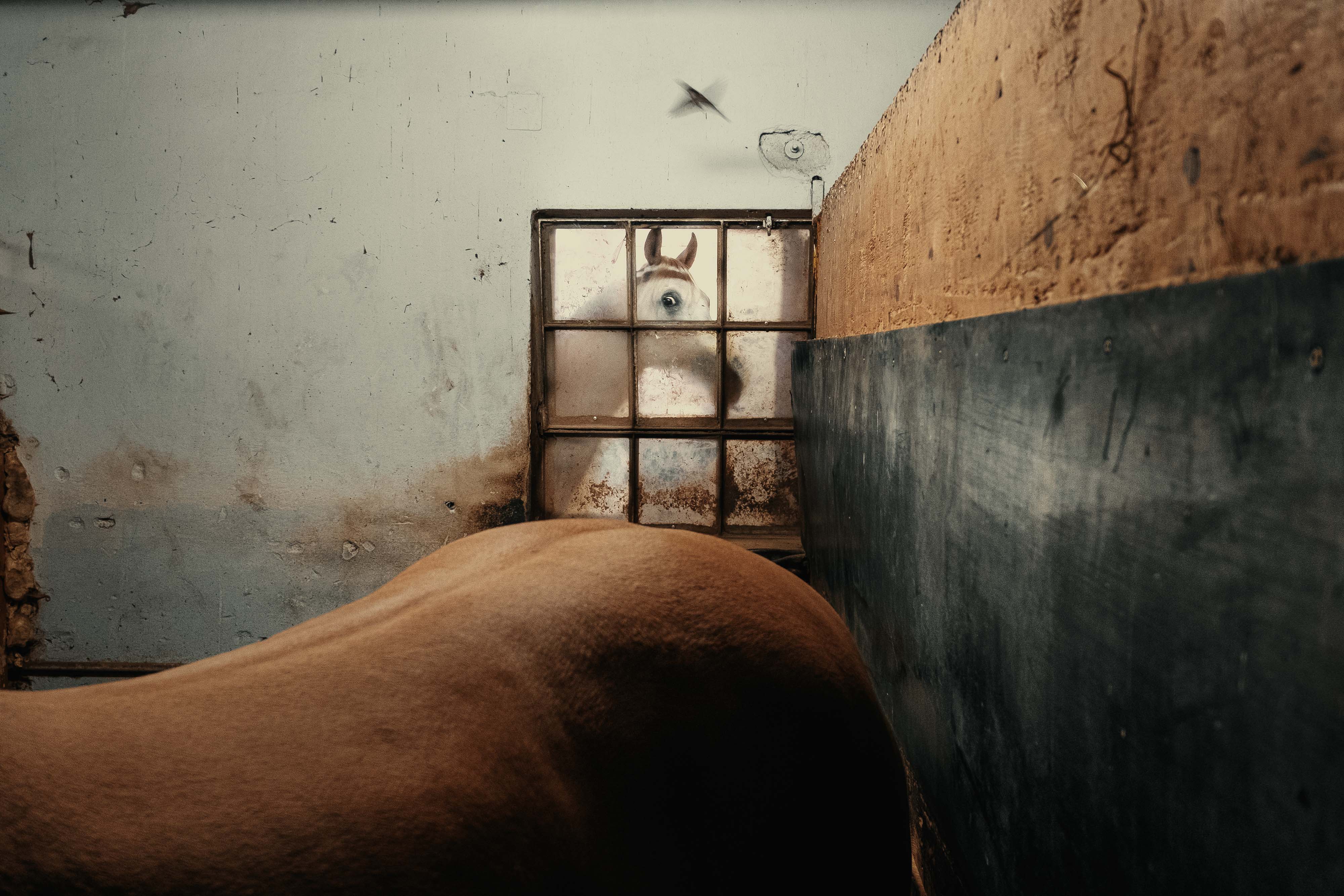 Francesco Lopazio @fralopaz