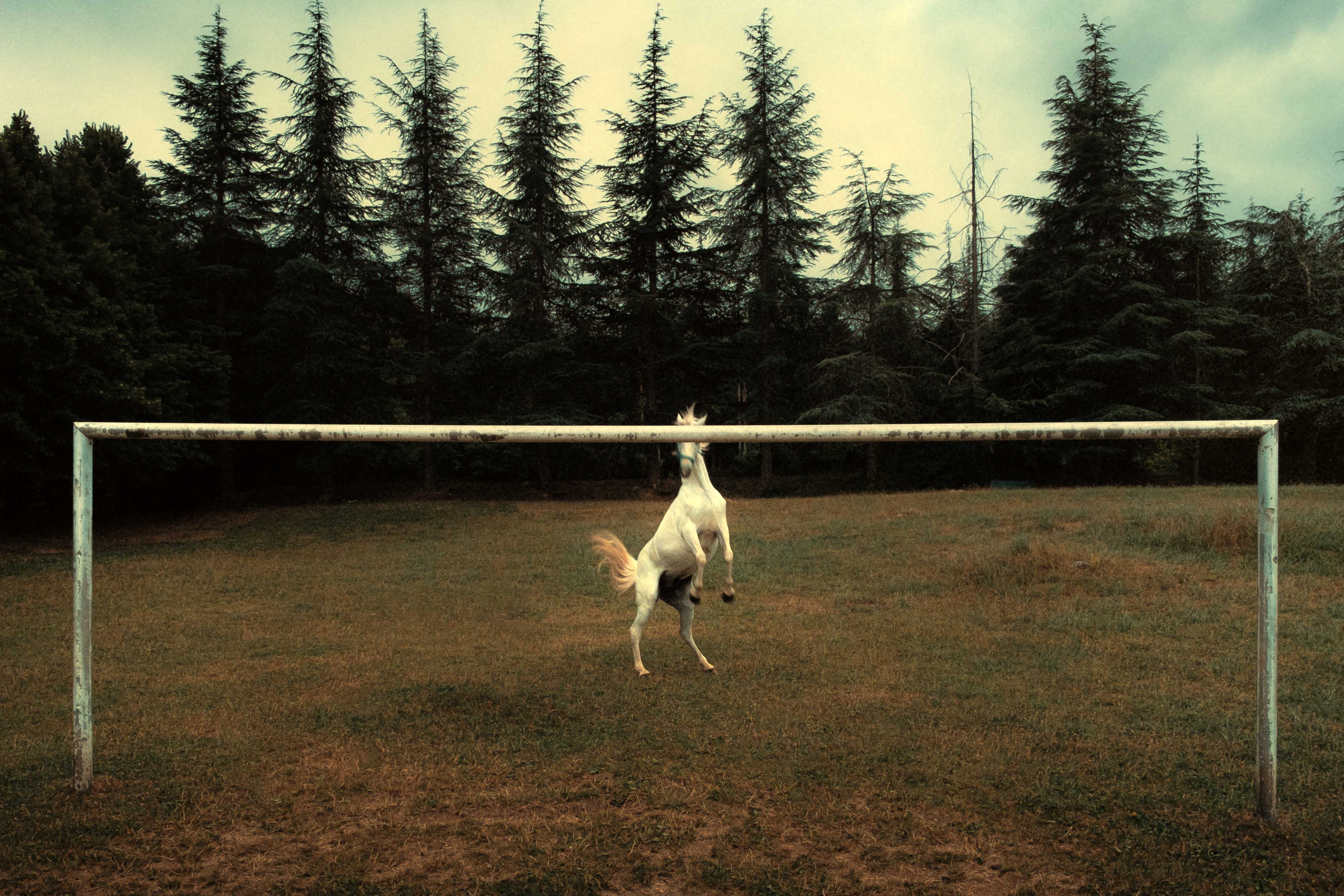 Francesco Lopazio @fralopaz