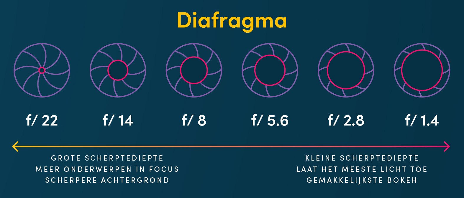 Een grafiek die verschillende diafragma's van camera's laat zien. Het legt uit hoe een kleine scherptediepte het meeste licht binnenlaat, terwijl een grote scherptediepte meer objecten scherp houdt en een scherpere achtergrond geeft. De afbeelding staat op een donkerblauwe achtergrond en is wit geschreven.