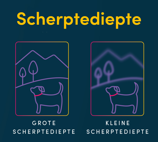 Een grafiek met voorbeelden van de impact van verschillende scherptedieptes. De grafiek laat zien hoe een grote scherptediepte alles scherp houdt, terwijl een kleine scherptediepte een onscherpe achtergrond heeft.
