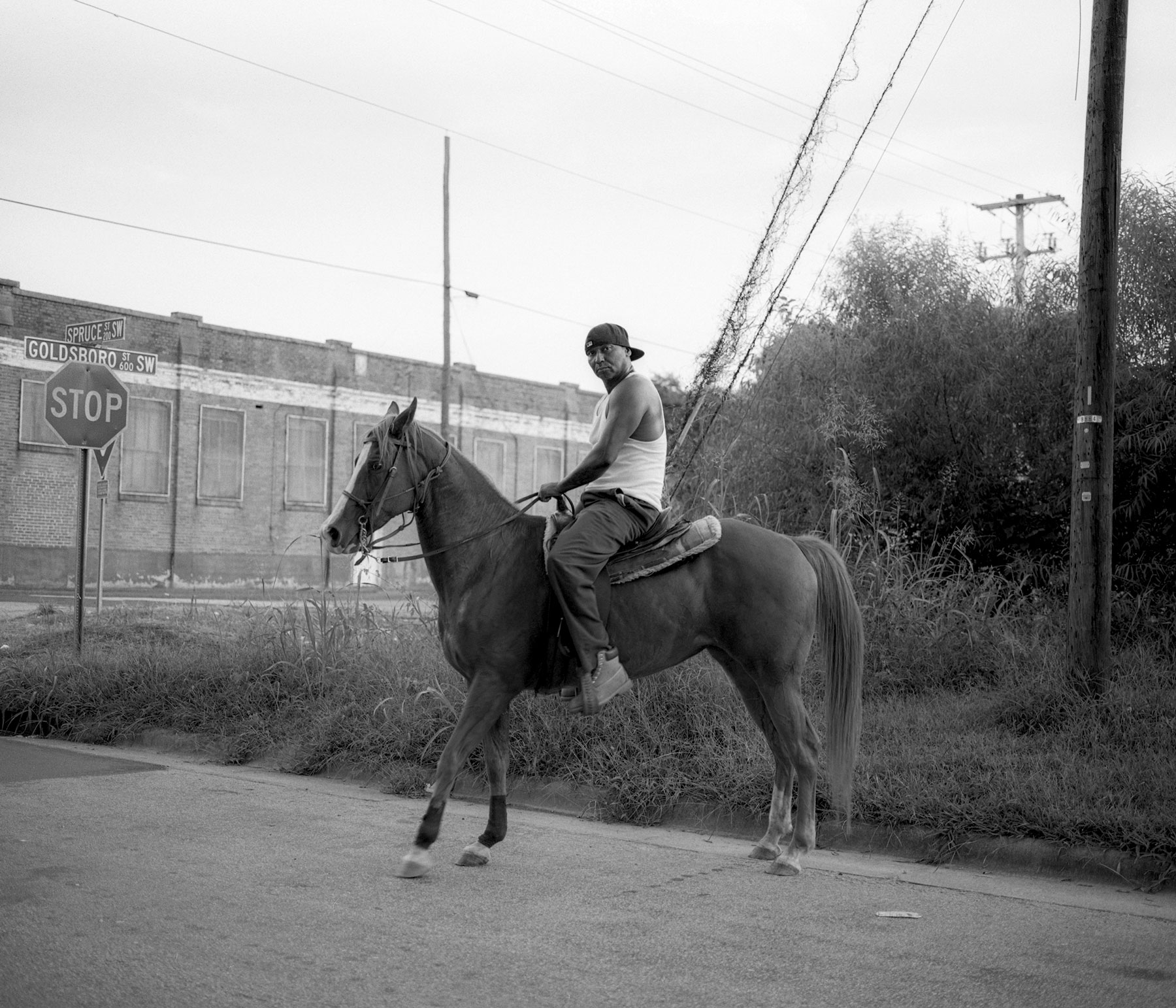 Person on a horse in the middle of the street