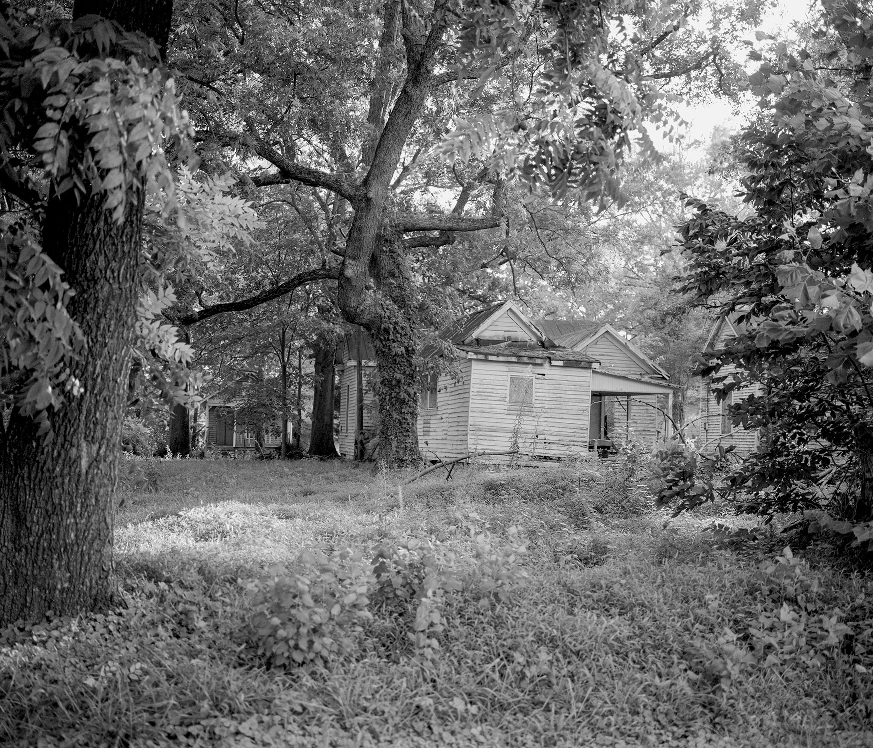 Old Shack in the woods