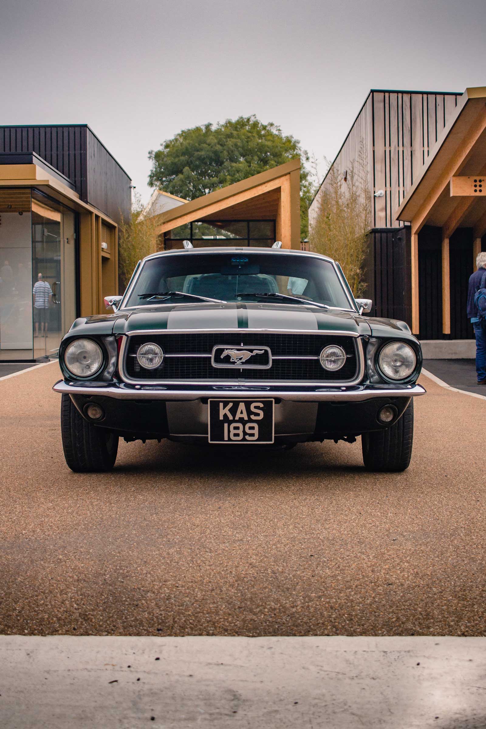Portrait of a Ford Mustang