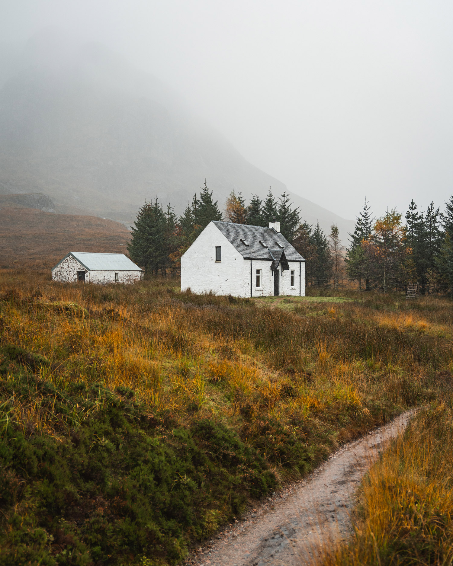 a shot of a white farmhouse 
