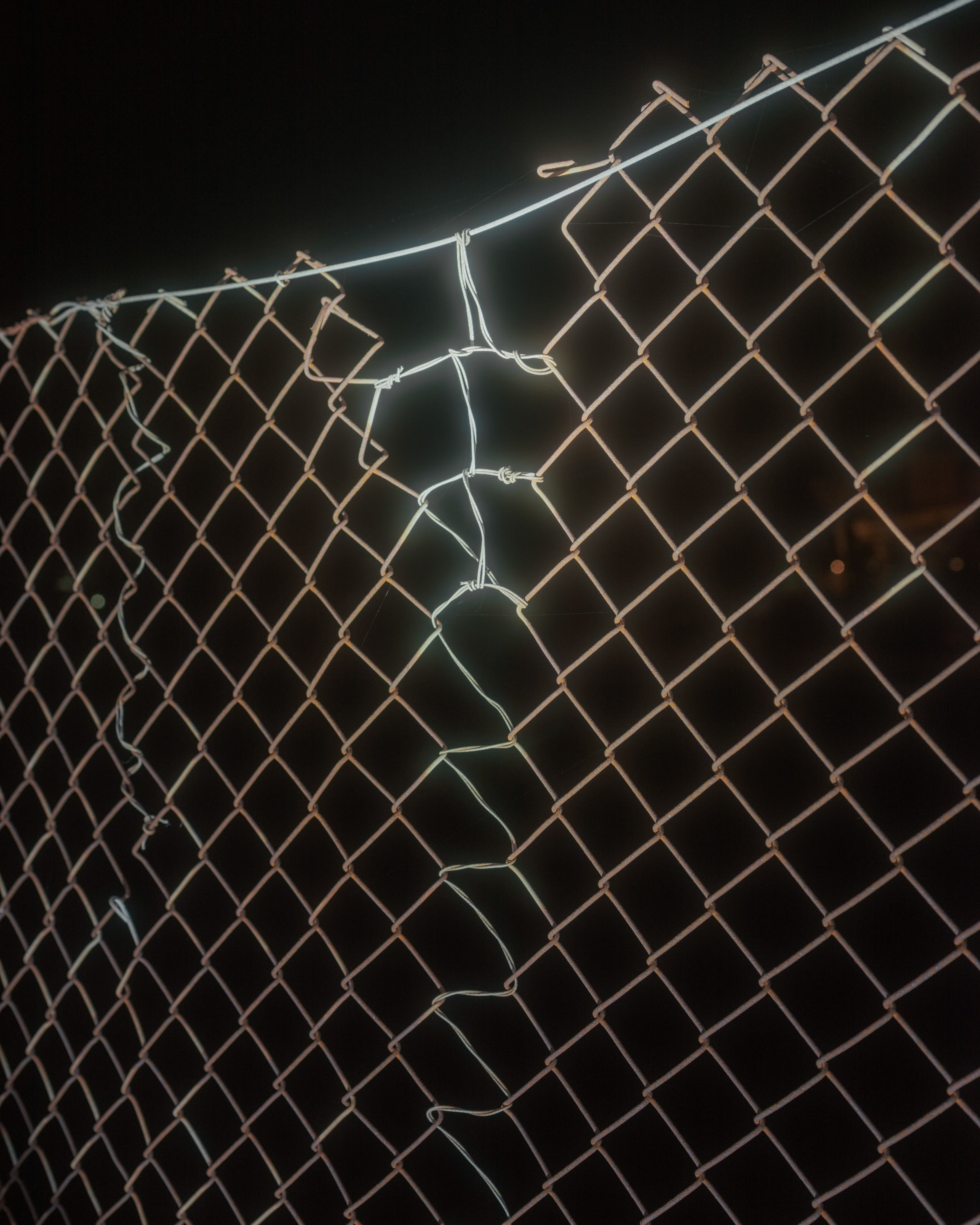 Torre Abbey Park Fence