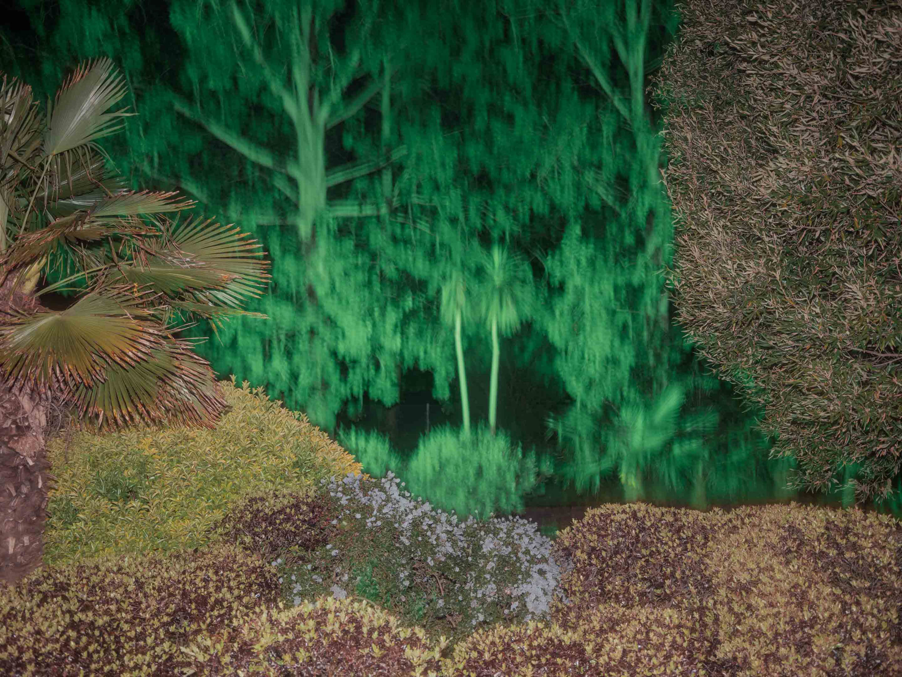 Kings Garden puddle reflection
