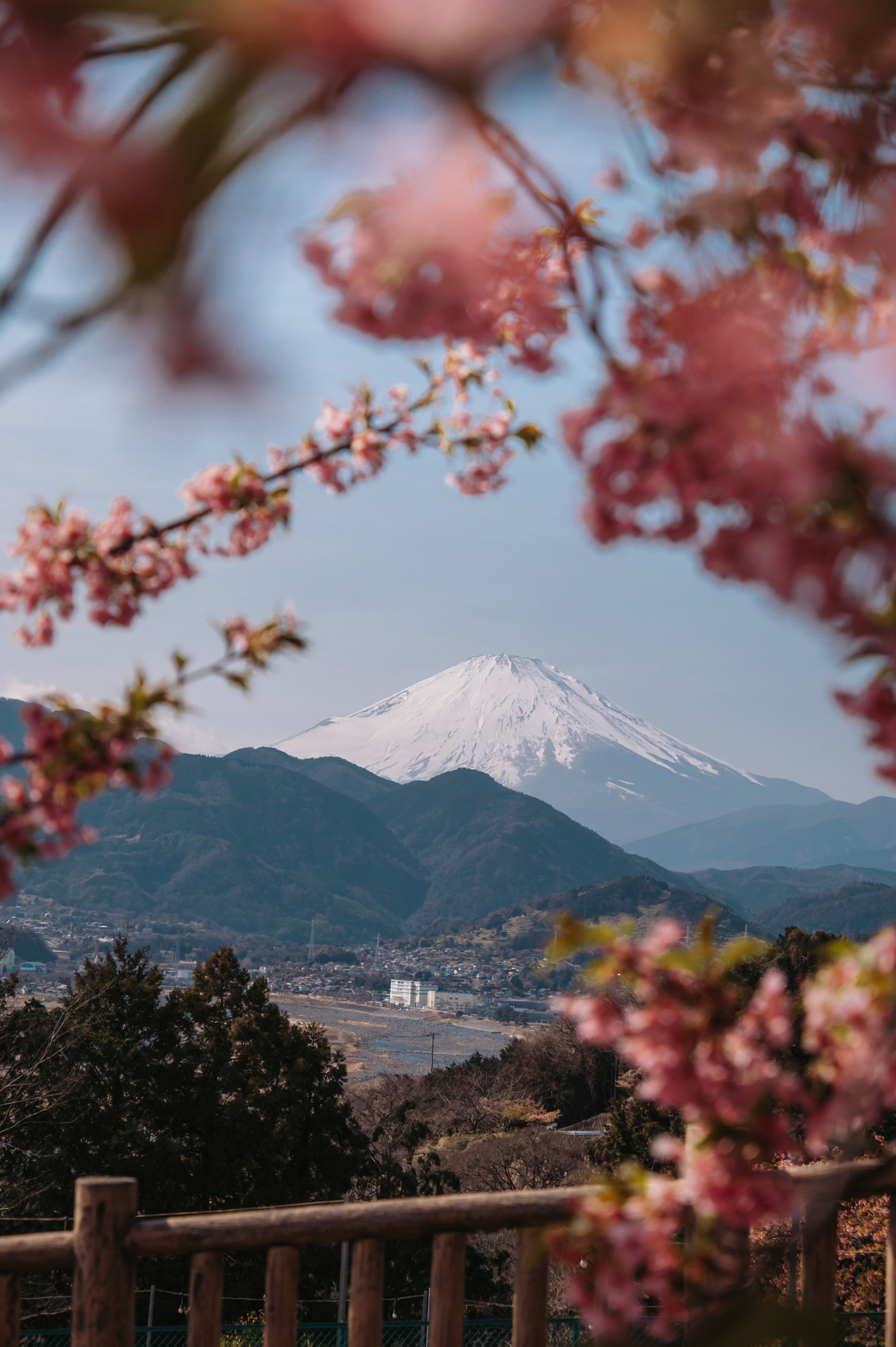 Japanese icecap mountain through the trees