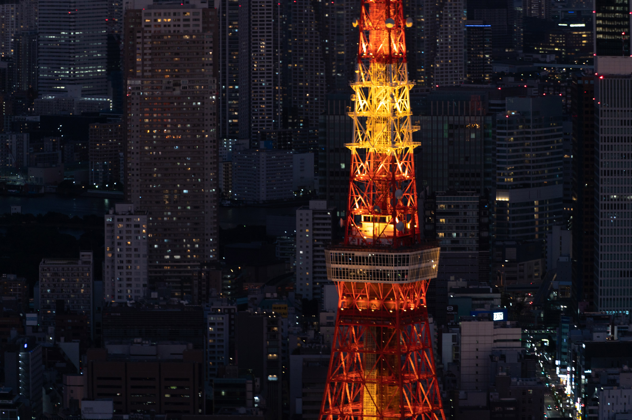 Tokyo-based photographer Lisa Knight