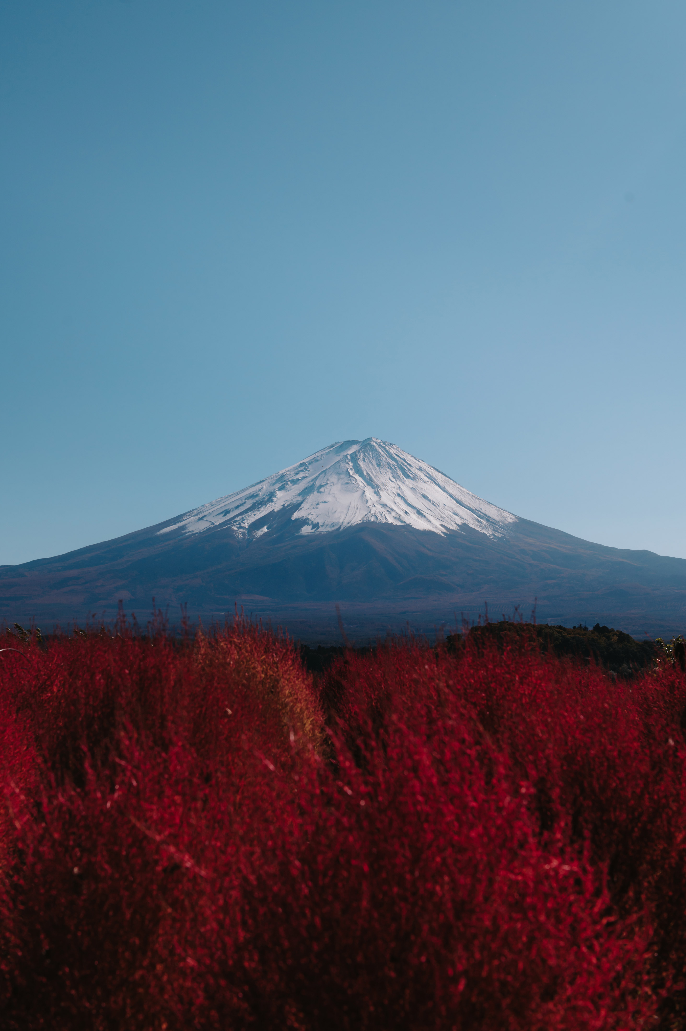 Verschneiter Berg in Japan