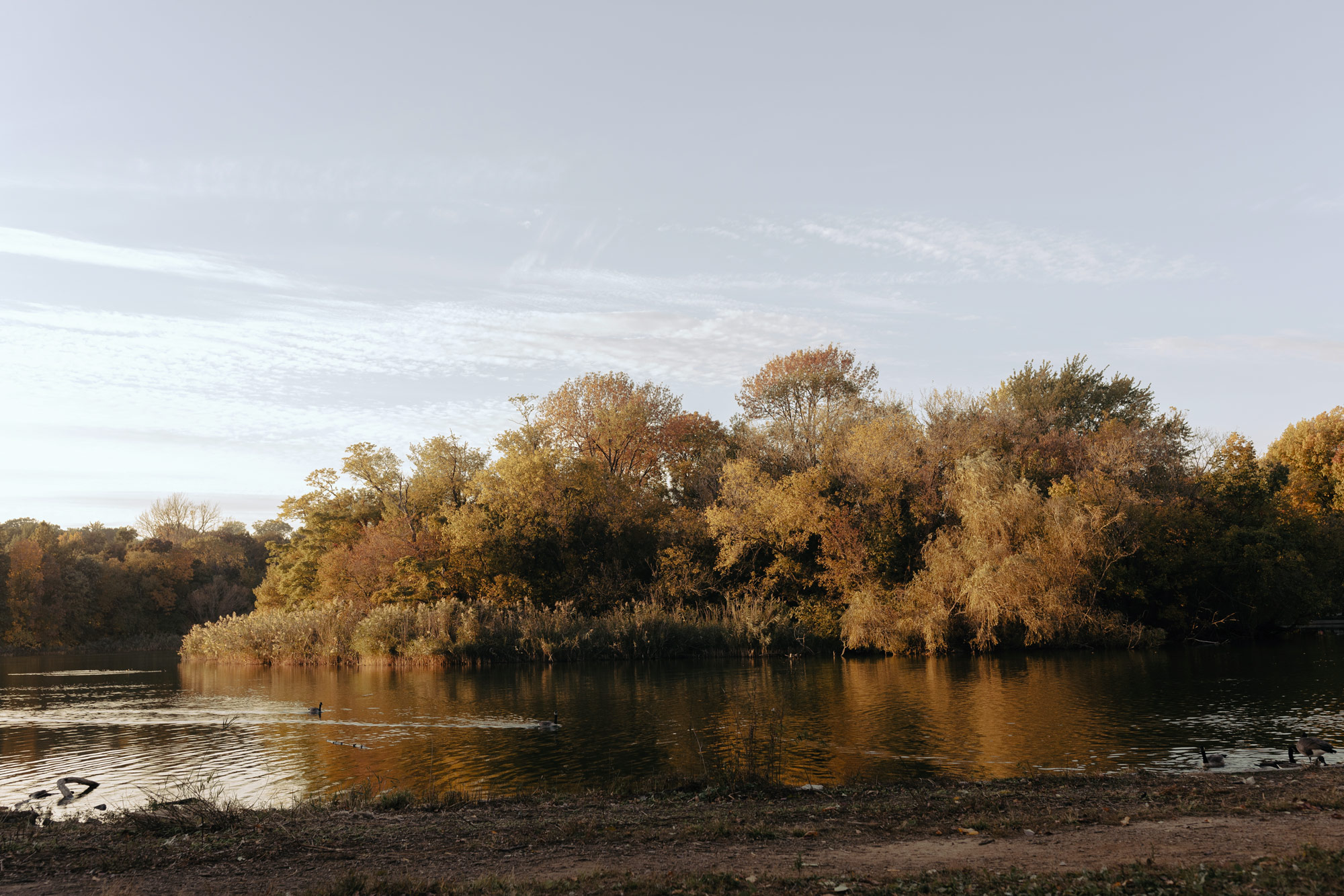 A landscape photo of some autumnal trees behind a river, photo by Makeda Sandford