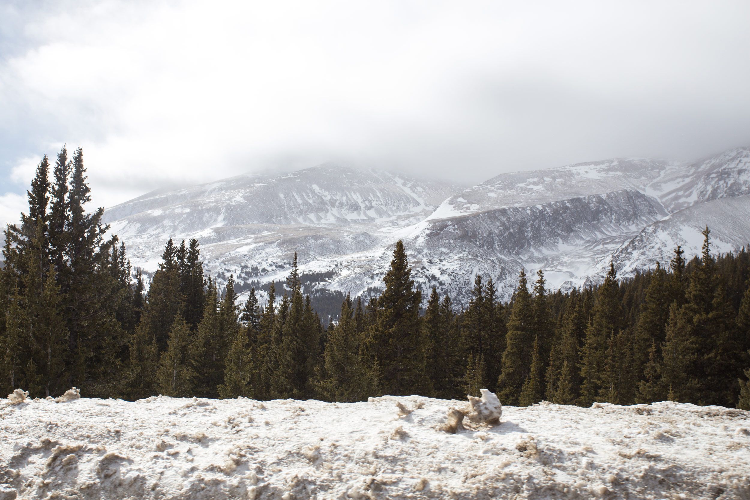 A landscape photo of pine trees behind snowy landscape with icy mountains in the background, photo by Tahiti Abdul