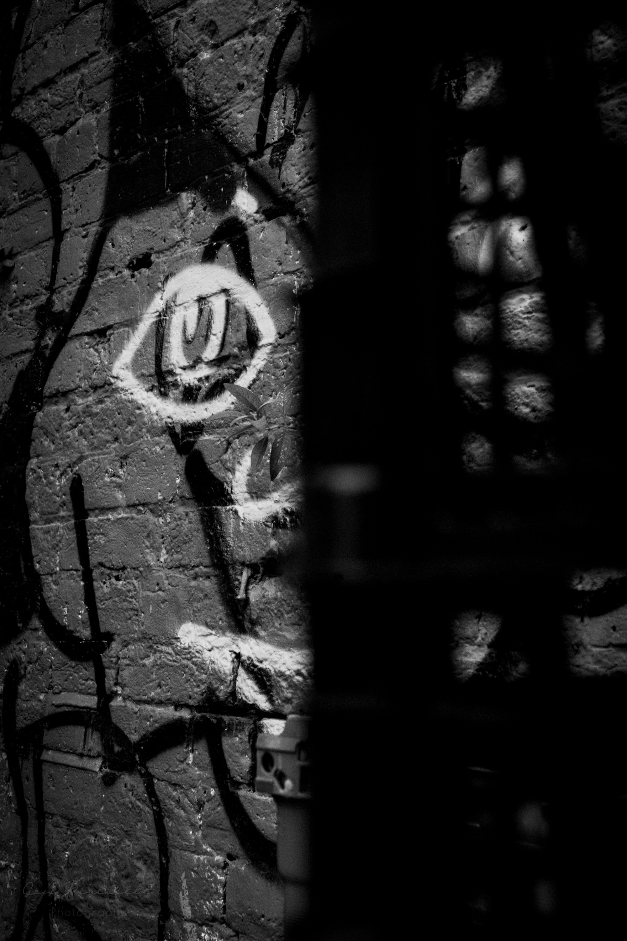 Graffiti on a wall in Brighton in black and white 
