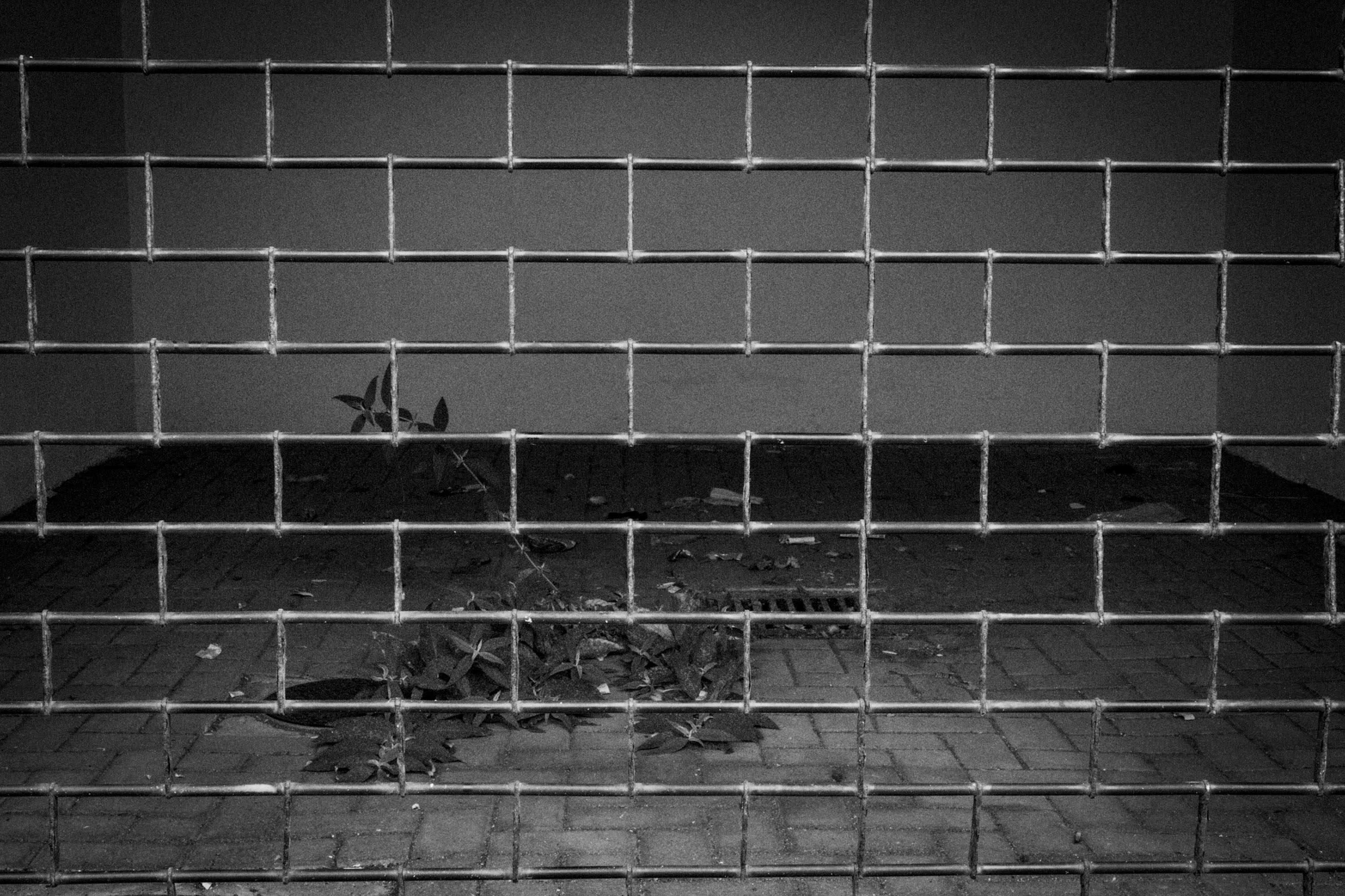 Shop shutters at night 