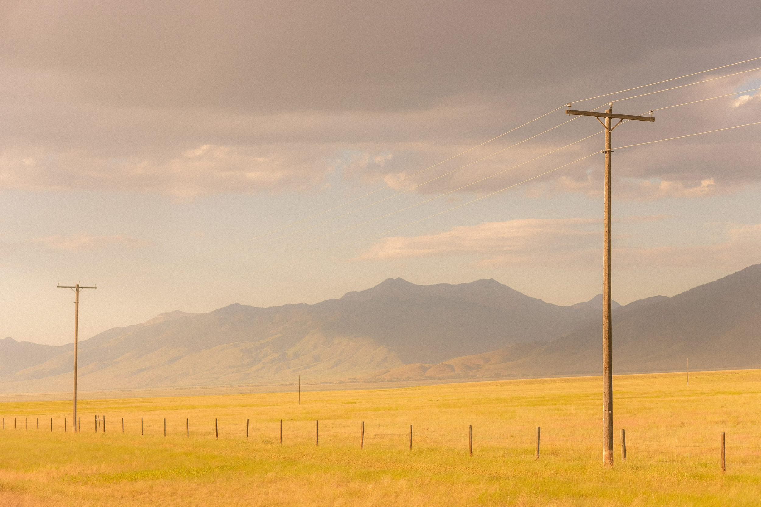 a yellow field with dark mountains in the background, and overhead power lines