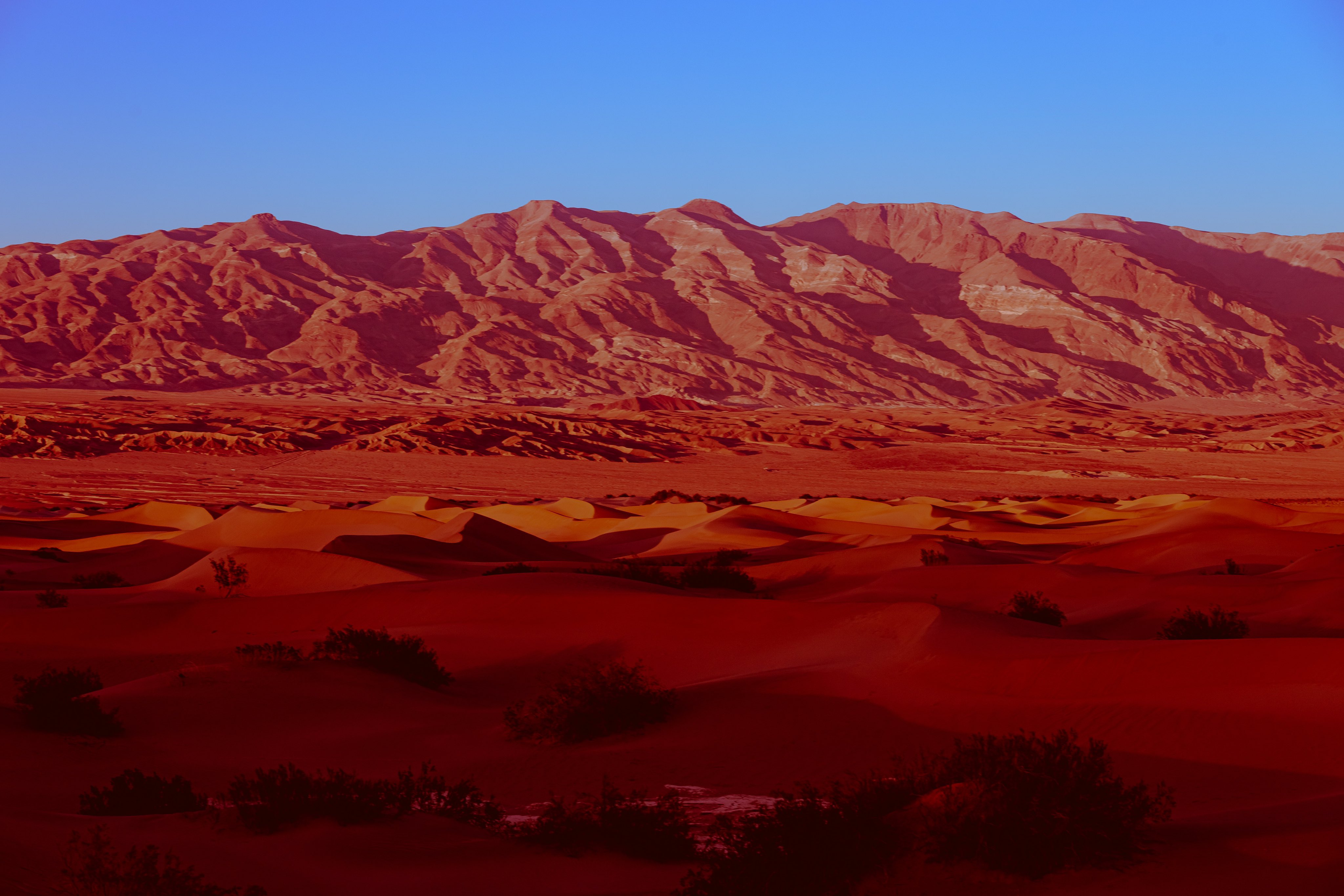landscape photo of red mountains in the distance with a very blue sky above