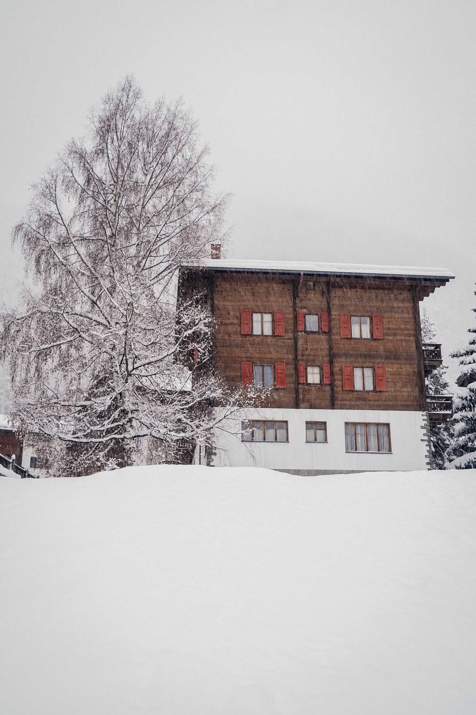 Snow-topped wooden house with a tree beside it and snow-covered ground in the foreground