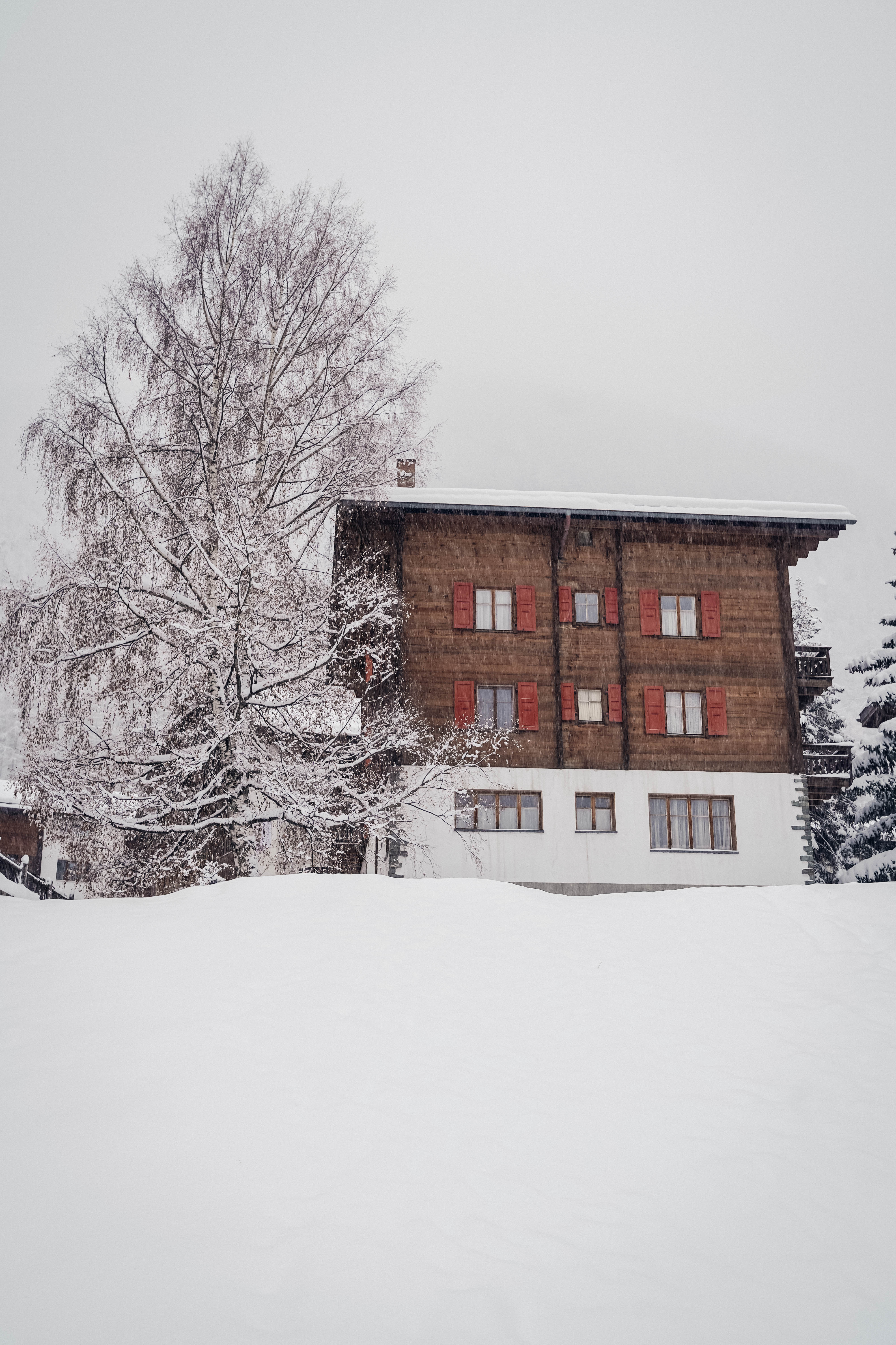 Schneebedecktes Holzhaus mit einem Baum daneben und schneebedecktem Boden im Vordergrund