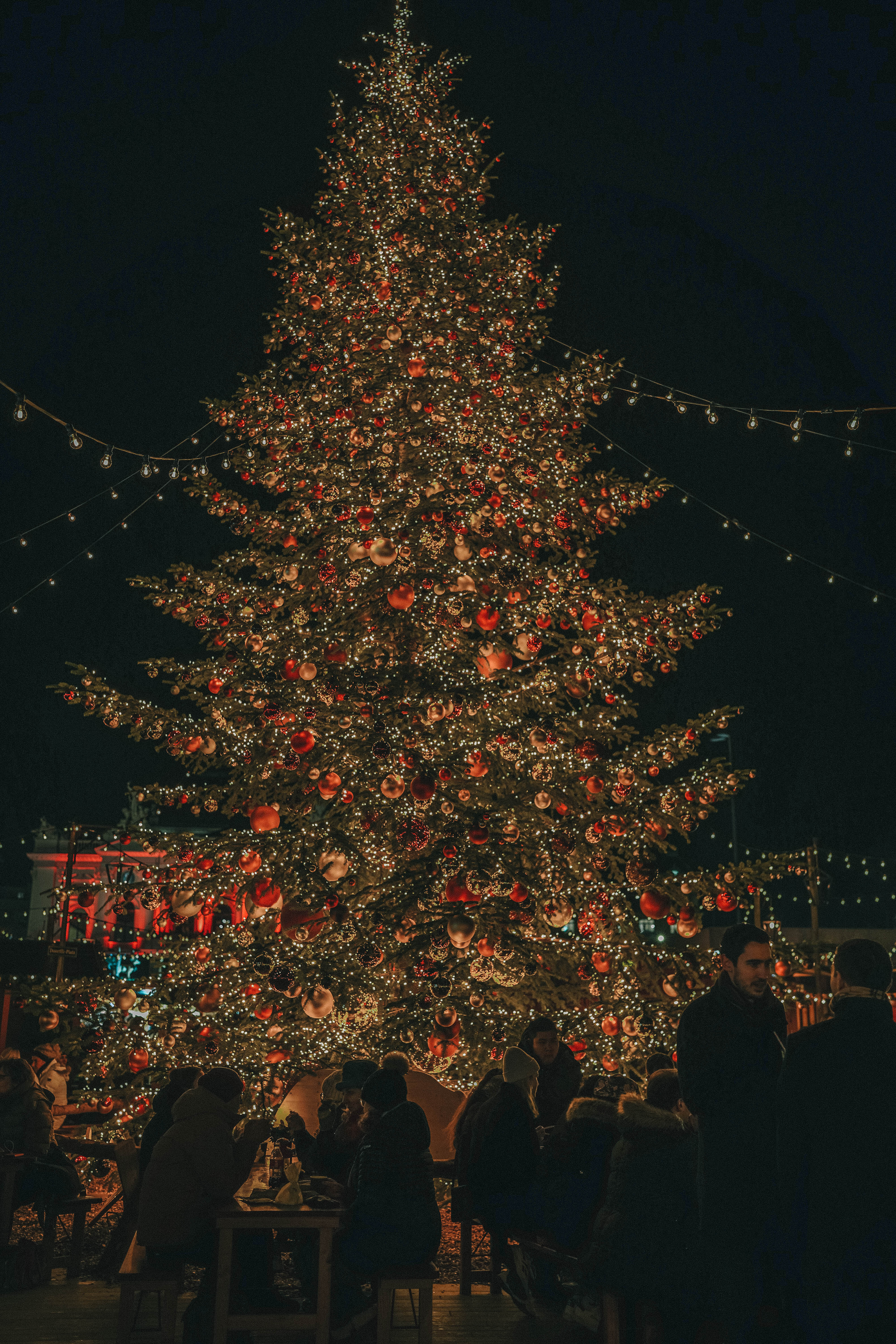 Ein Weihnachtsbaum bei Nacht, umgeben von Menschen, die auf einer Bank sitzen