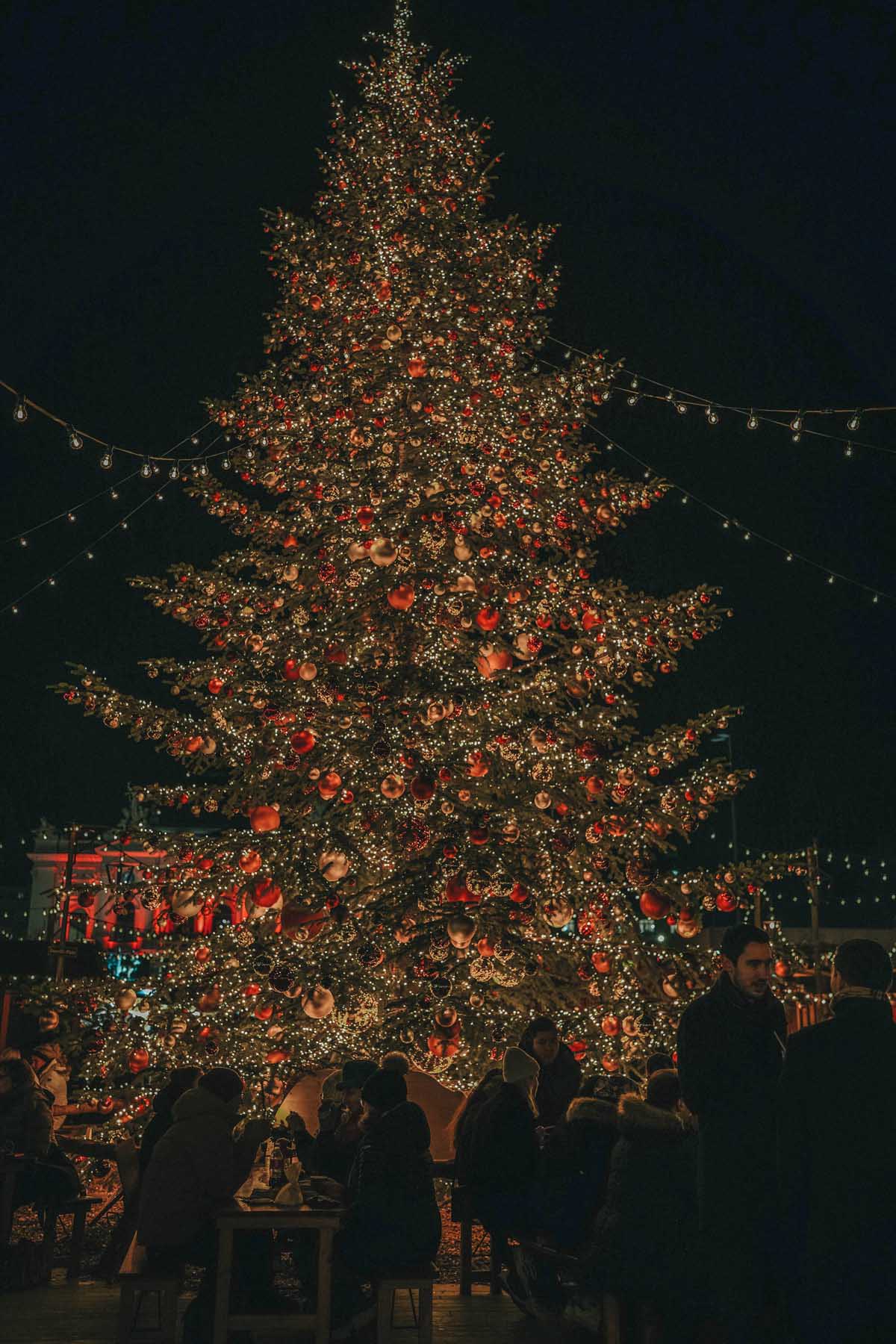 A Christmas tree at night surrounded by people sitting on a bench