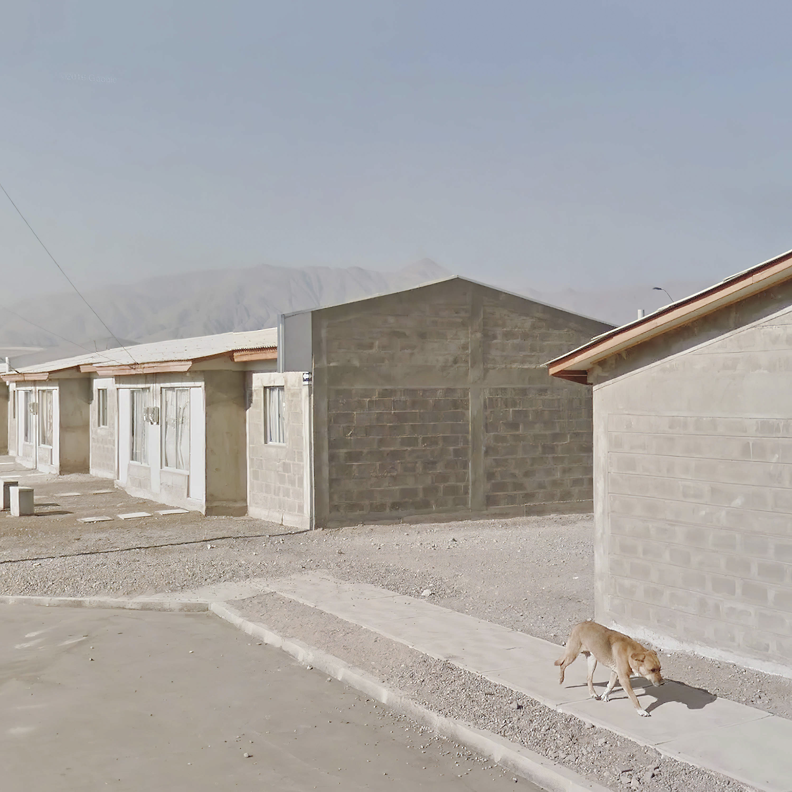 A street dog slinks out of the frame, surrounded by complex of buildings overshadowed by a range of mountains on the background